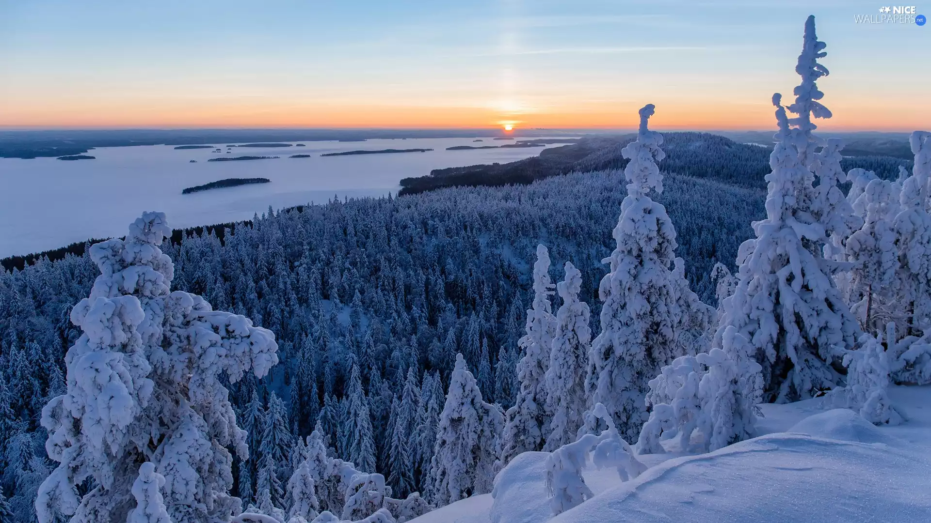 Lieksa, Finland, winter, Lake Pielinen, The Hills, Great Sunsets, Spruces, National Park of Koli, North Karelia, Snowy, forest