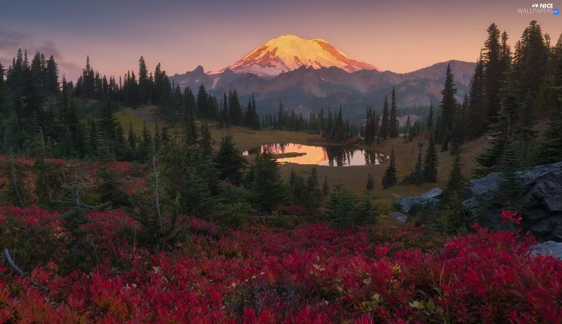 Mountains, trees, The United States, viewes, Washington State, Stratovolcano Mount Rainier, Mount Rainier National Park, Lake Tipsoo