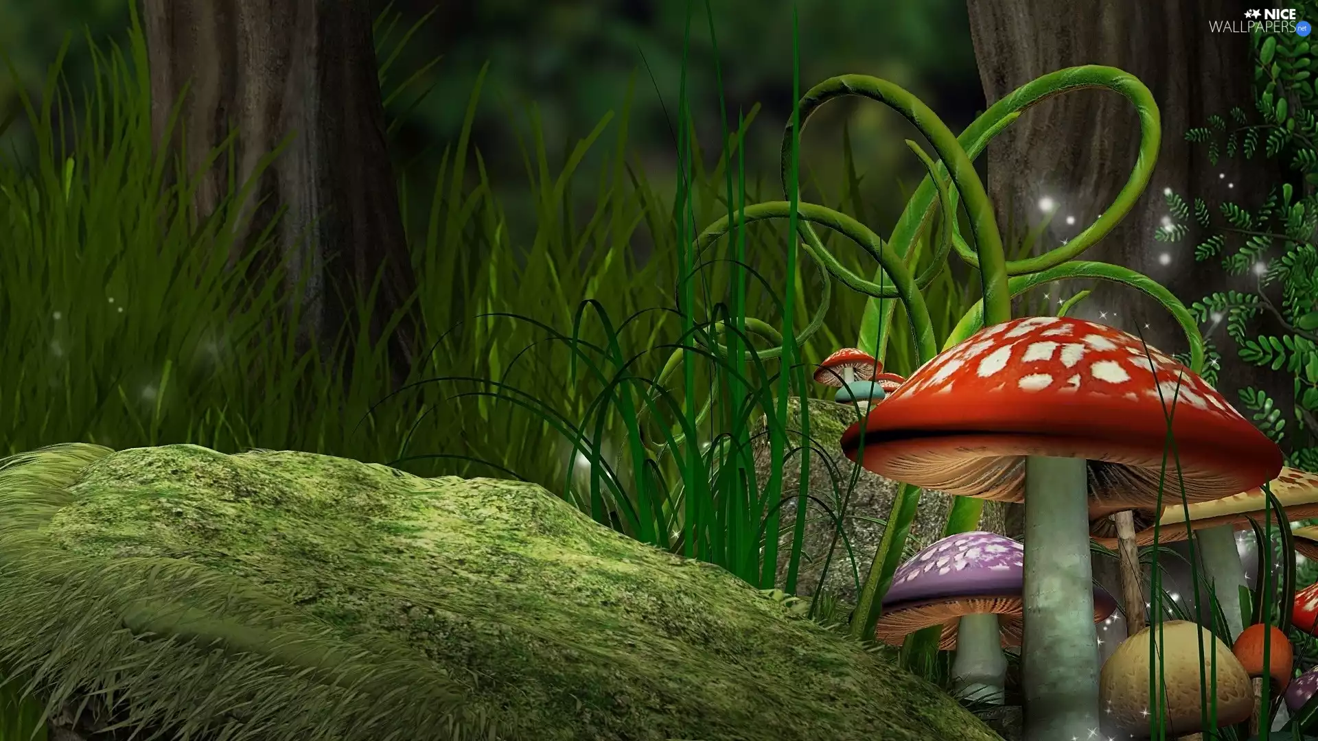 toadstools, fantasy
