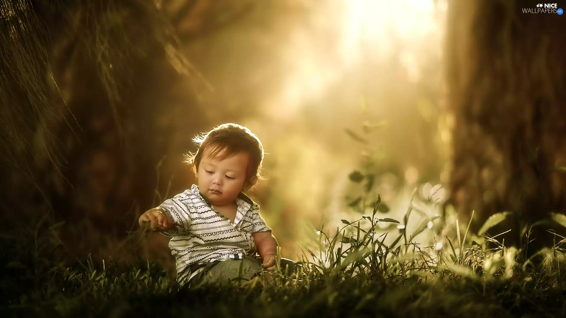 Kid, grass, Plants, Toddler