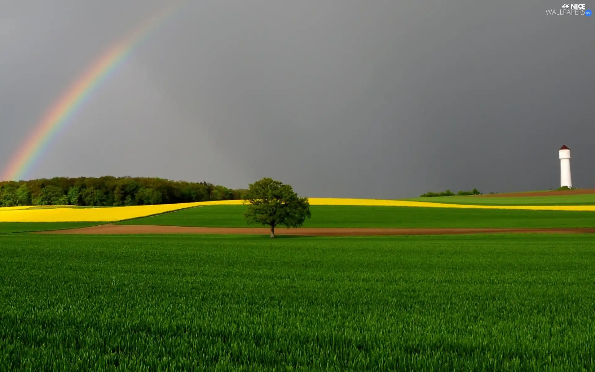 field, trees, tower, Great Rainbows