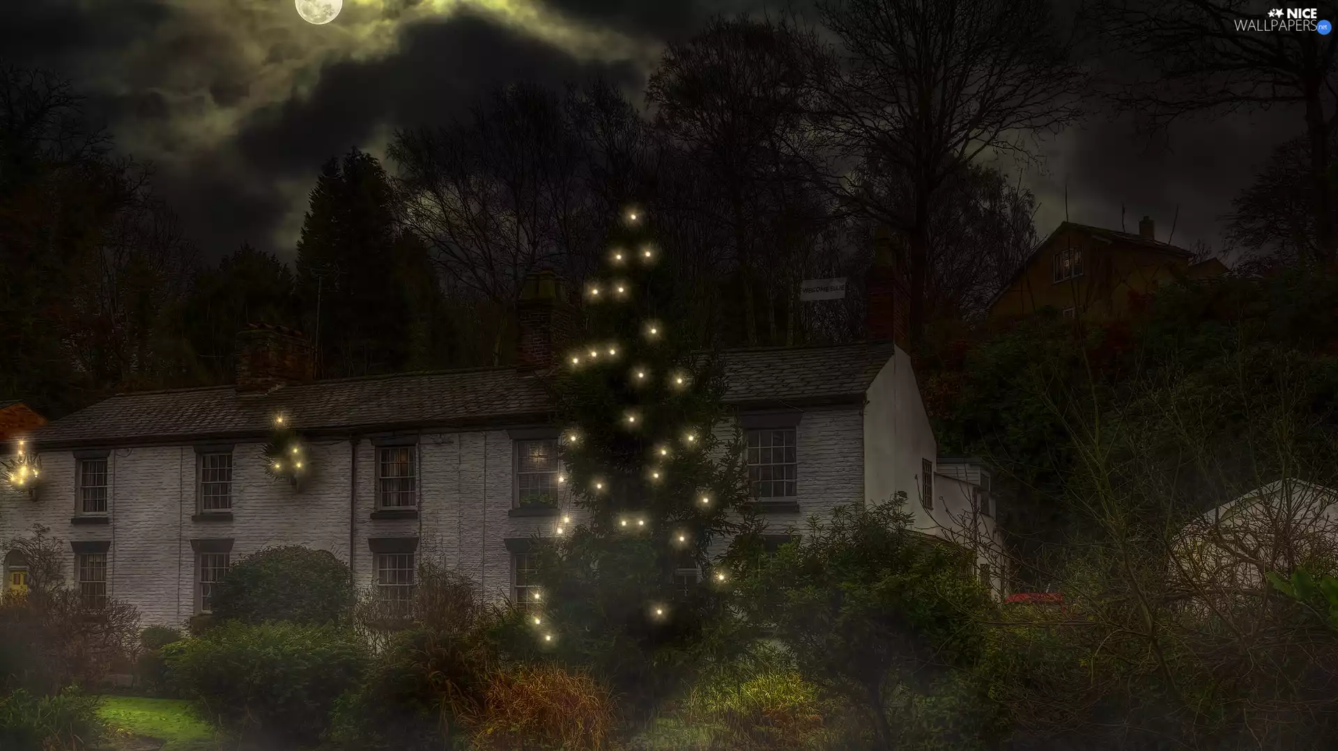 clouds, Night, christmas tree, lighting, house, moon