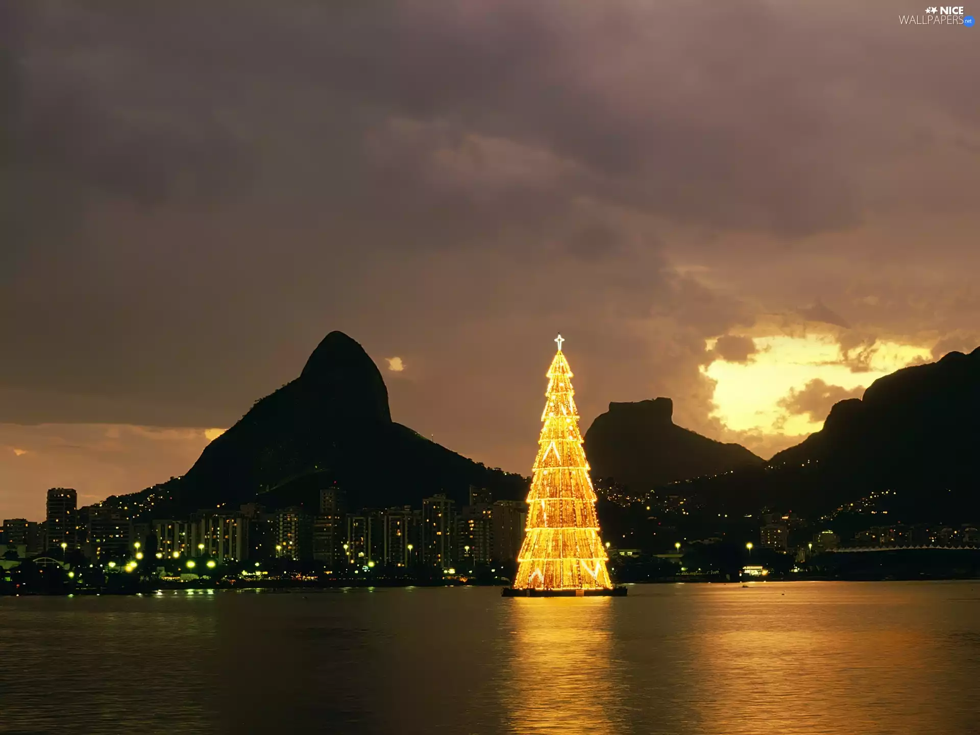 christmas tree, Gulf, Town, water
