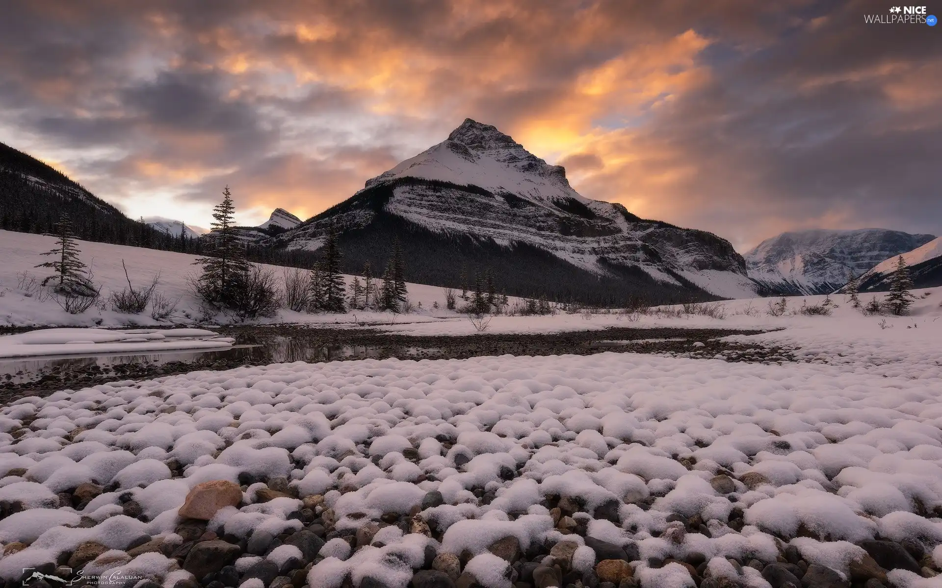 viewes, Mountains, Alberta, trees, winter, clouds, Canada