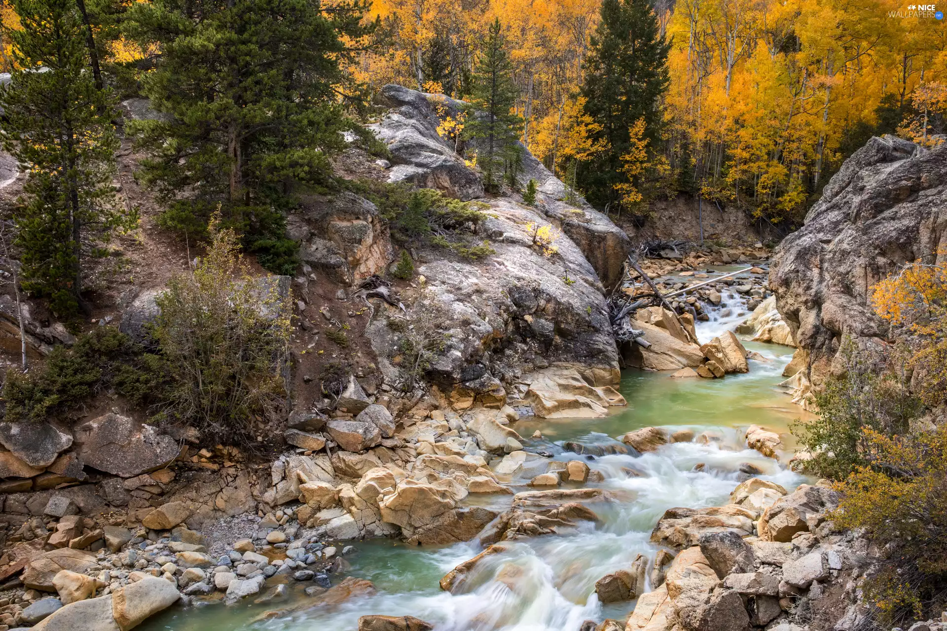 boulders, rocks, autumn, Stones, viewes, forest, flux, trees