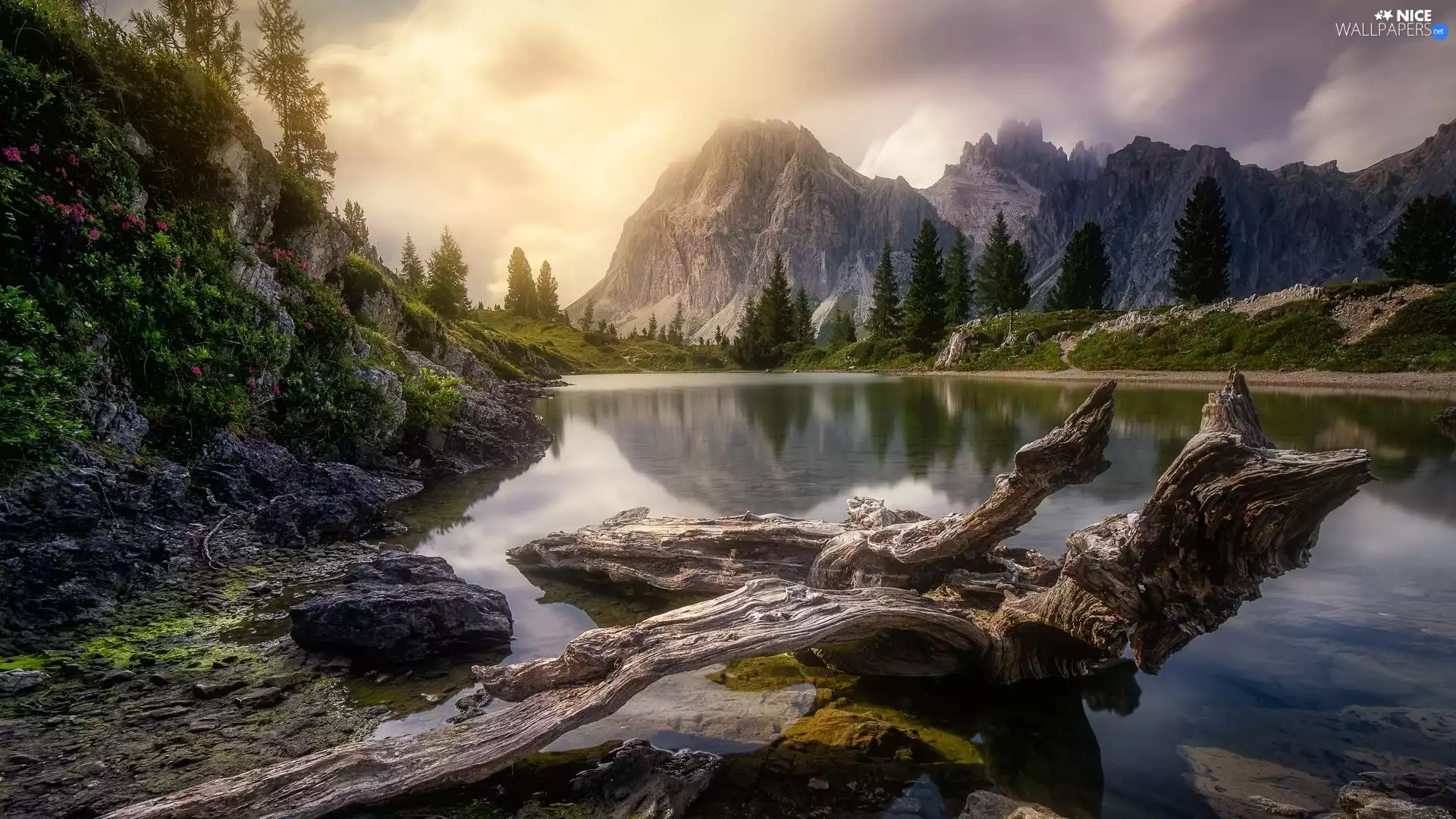 trees, Mountains, clouds, Lod on the beach, viewes, lake