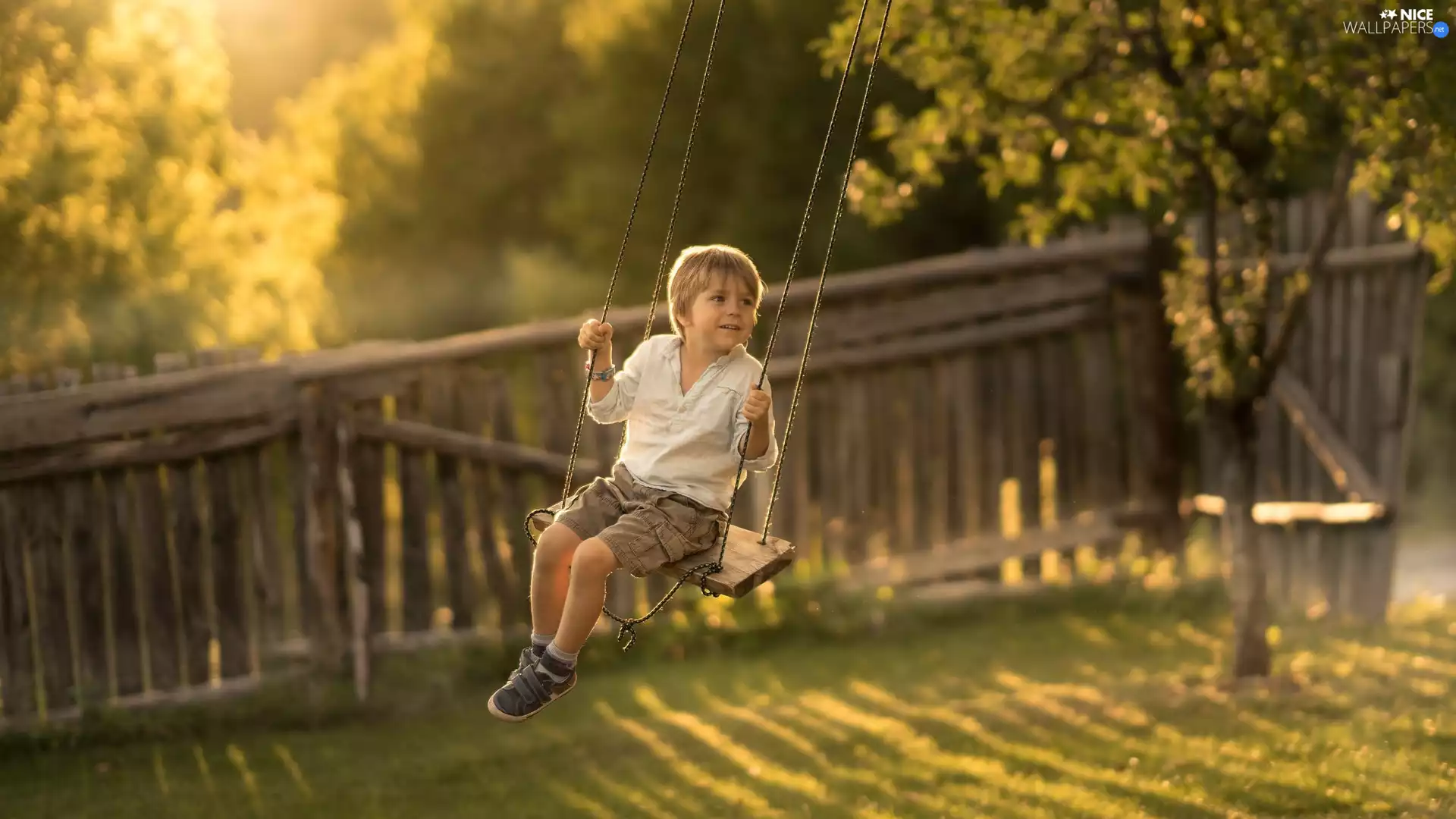 Fance, trees, boy, Swing, Kid