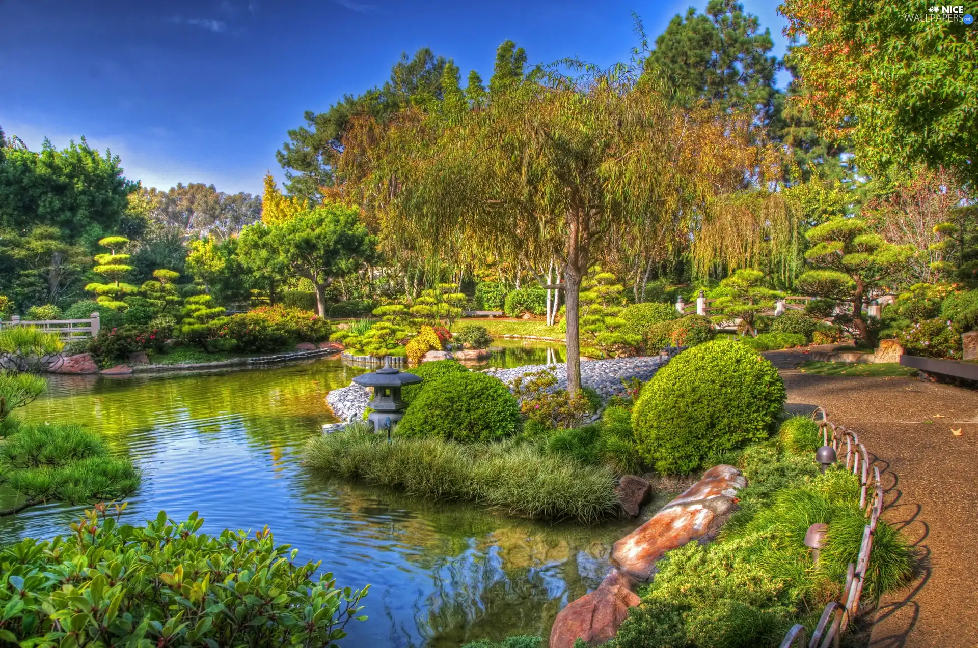 trees, japanese, Bush, Pond - car, viewes, Garden