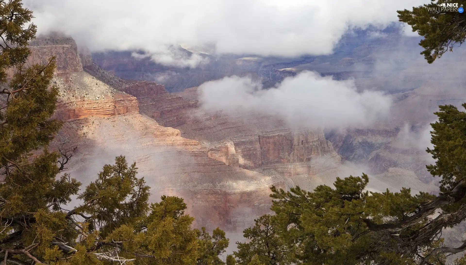 canyon, branch pics, trees, clouds