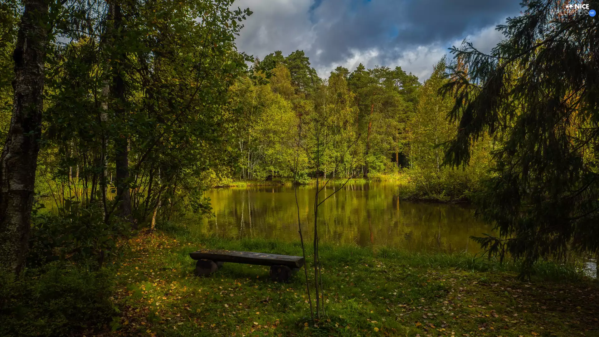 viewes, clouds, Bench, trees, Pond - car