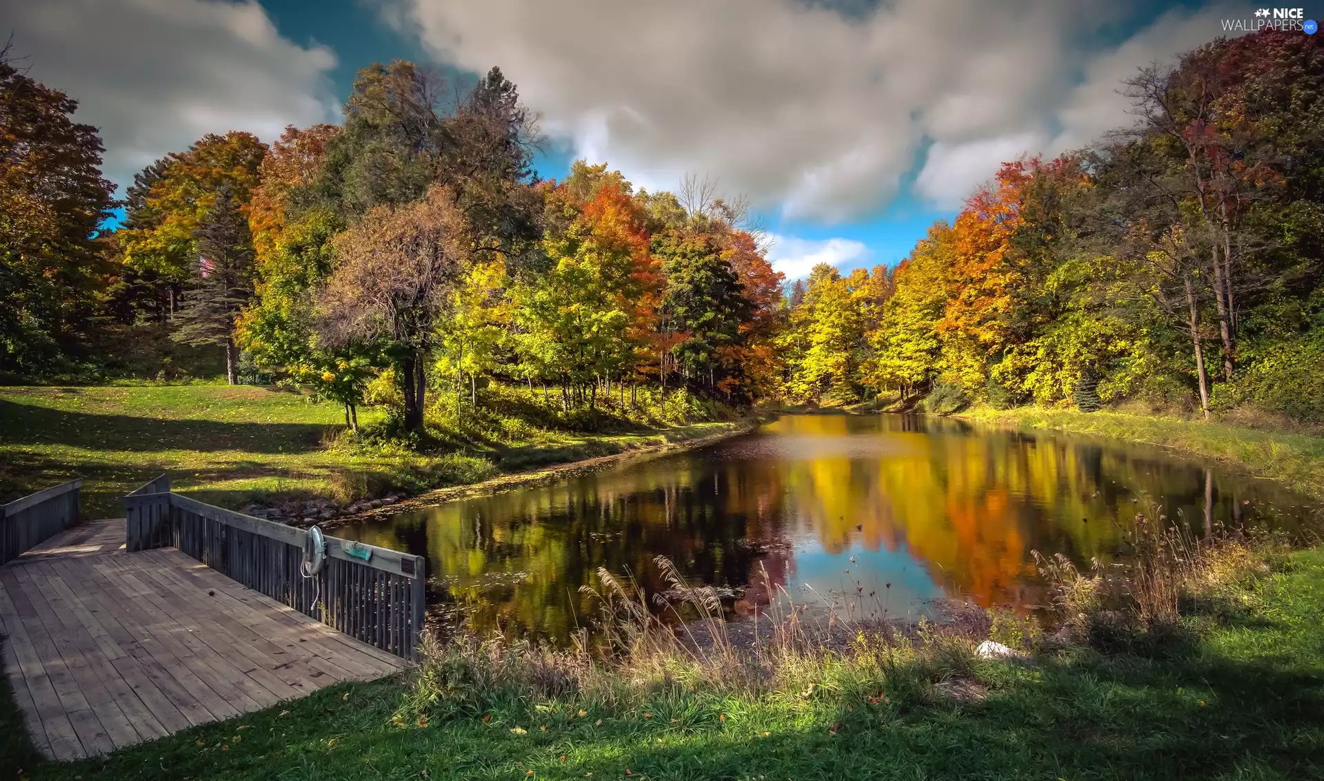 viewes, autumn, bridges, trees, Pond - car