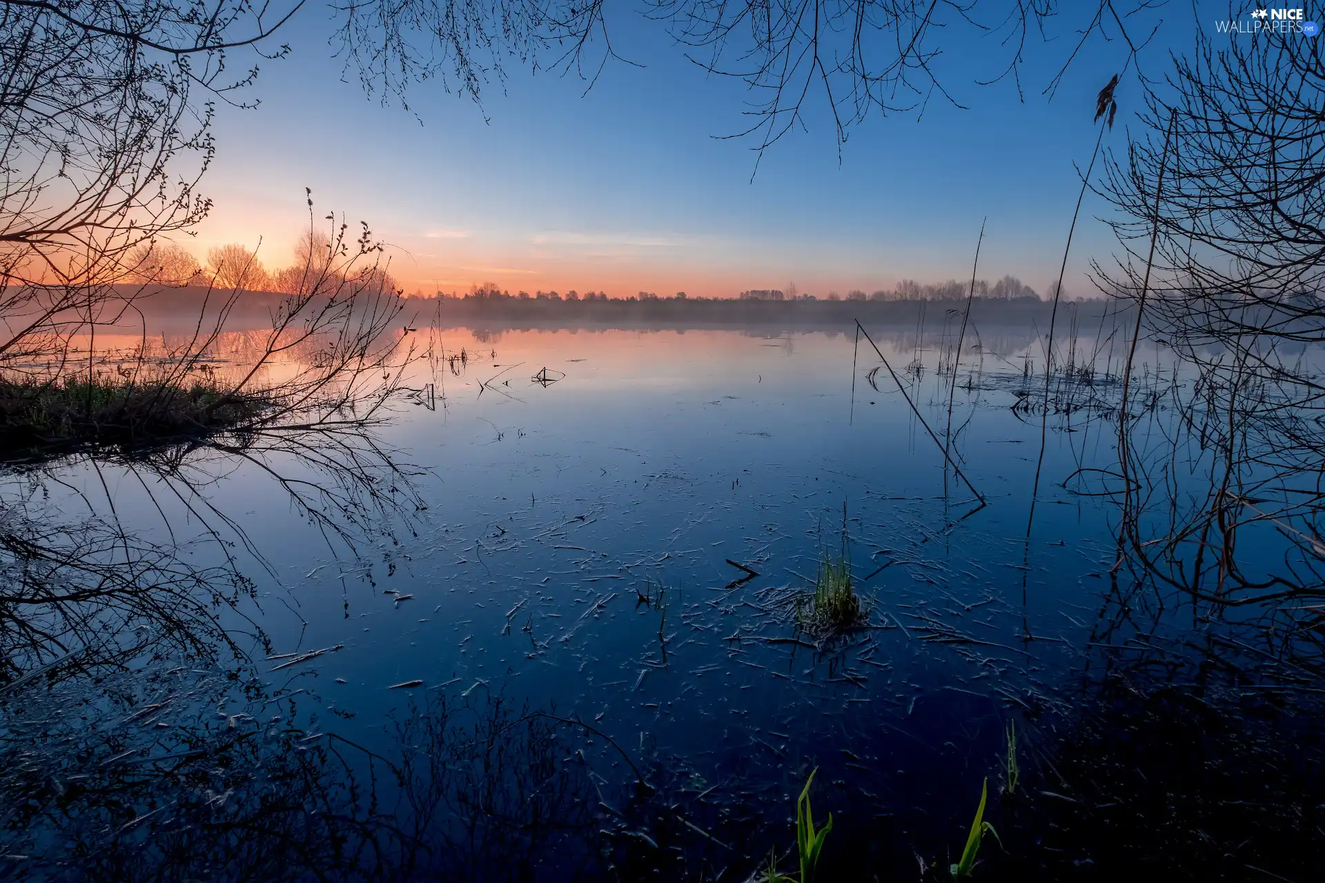 Sunrise, Pond - car, trees, viewes, scrub, Fog