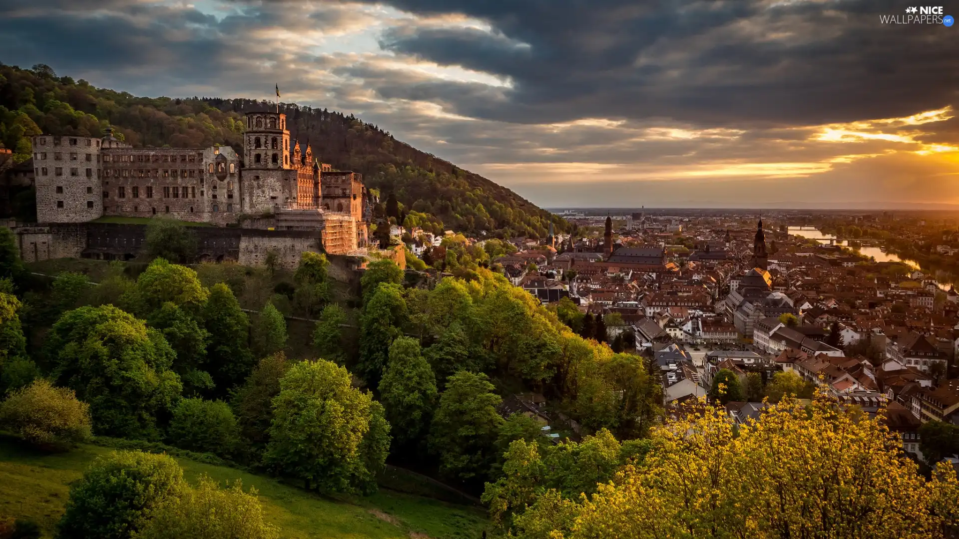 viewes, Heidelberg Castle, Heidelberg, Germany, Neckar River, trees