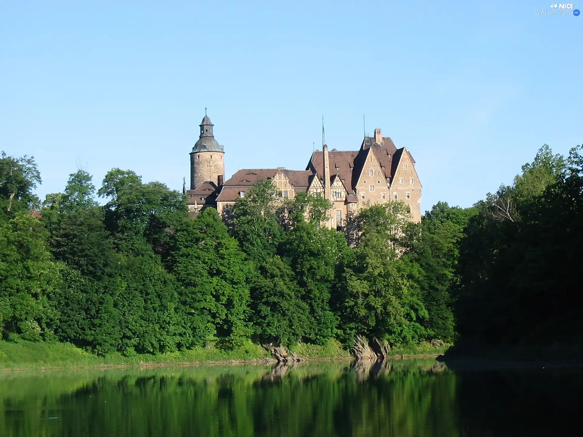 viewes, Czocha Castle, trees