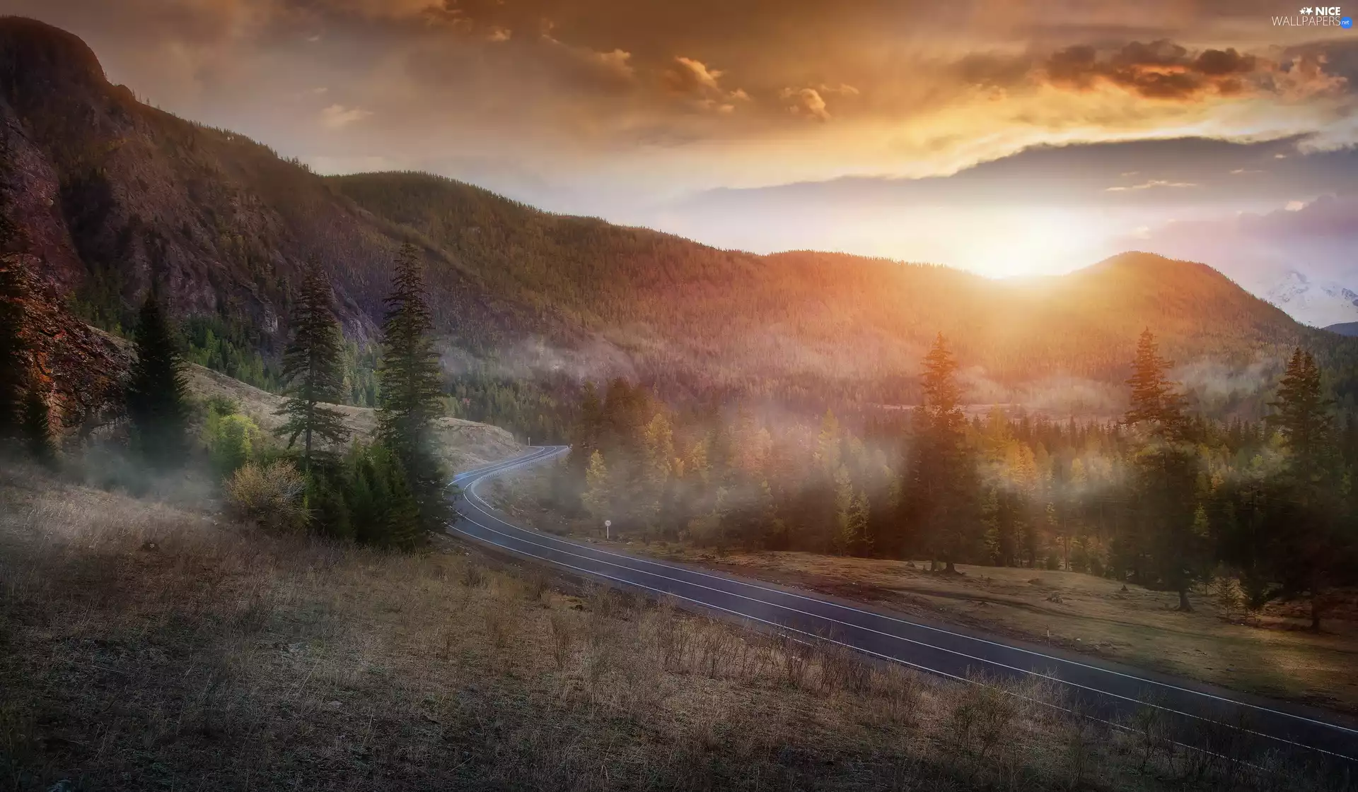 viewes, Mountains, dawn, trees, Way, woods, Fog