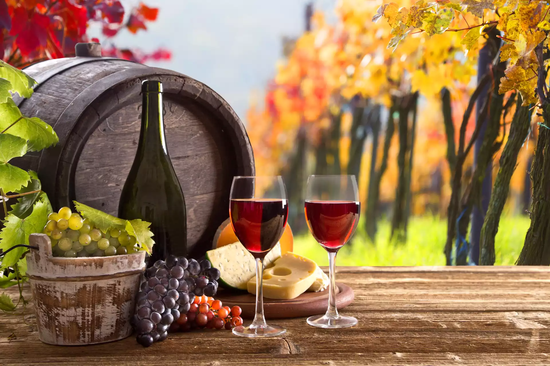 cheese, Bench, decoration, barrel, viewes, Grapes, Wine, trees