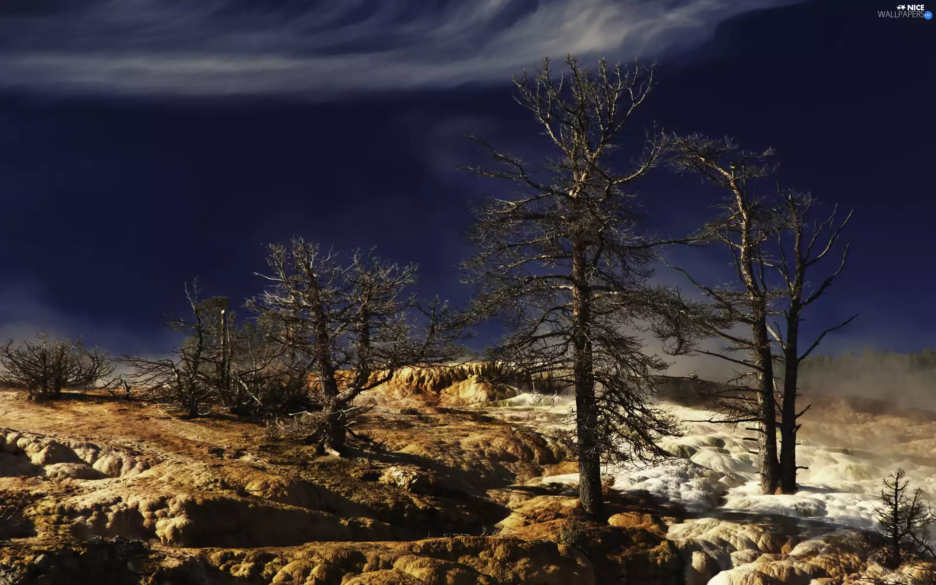 Stones rocks, cliff, trees, viewes, dry