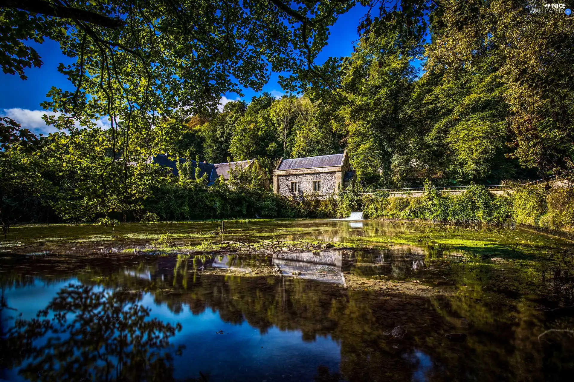 trees, West Sussex, reflection, Pond Arundel, England, viewes, Houses