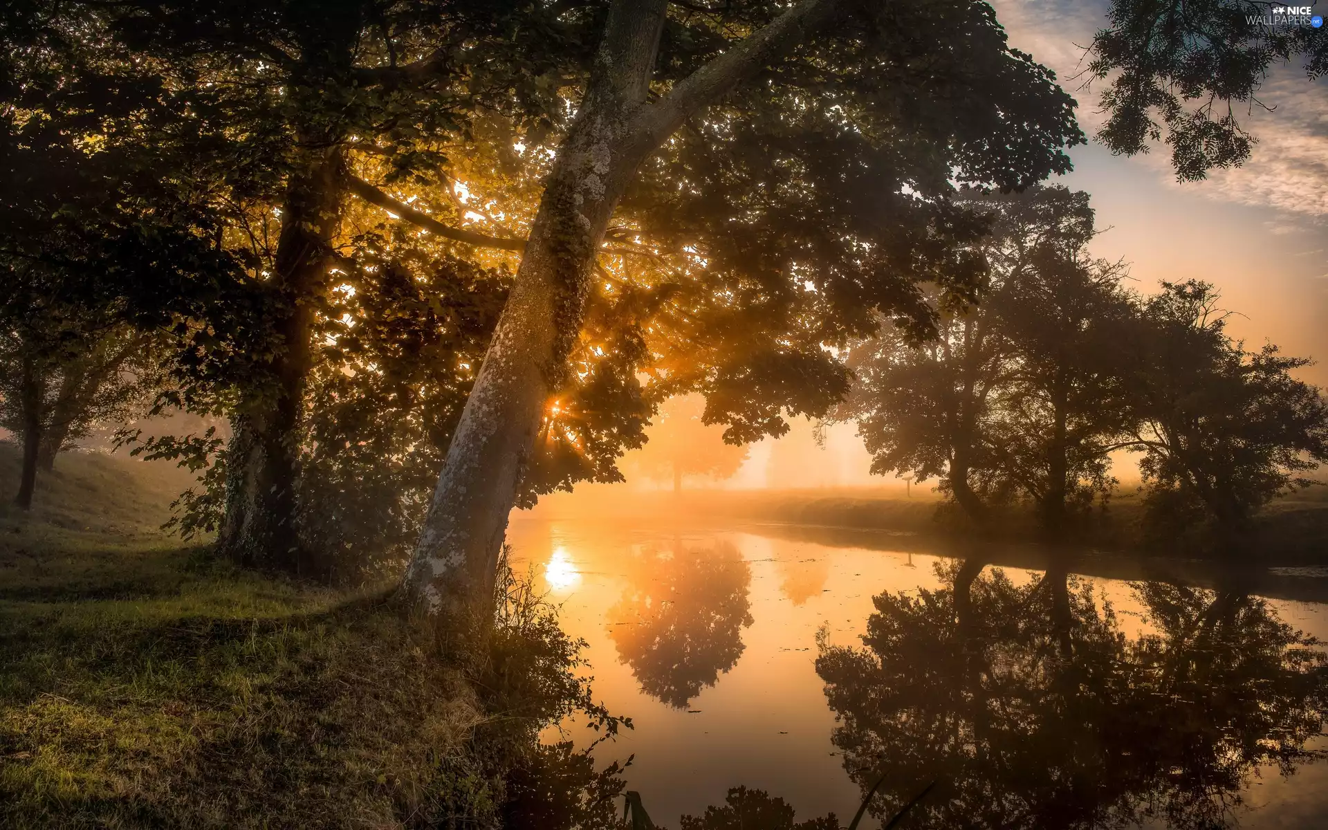 Northamptonshire County, England, Lyveden New Bield, River, morning, Sunrise, trees, viewes, Fog