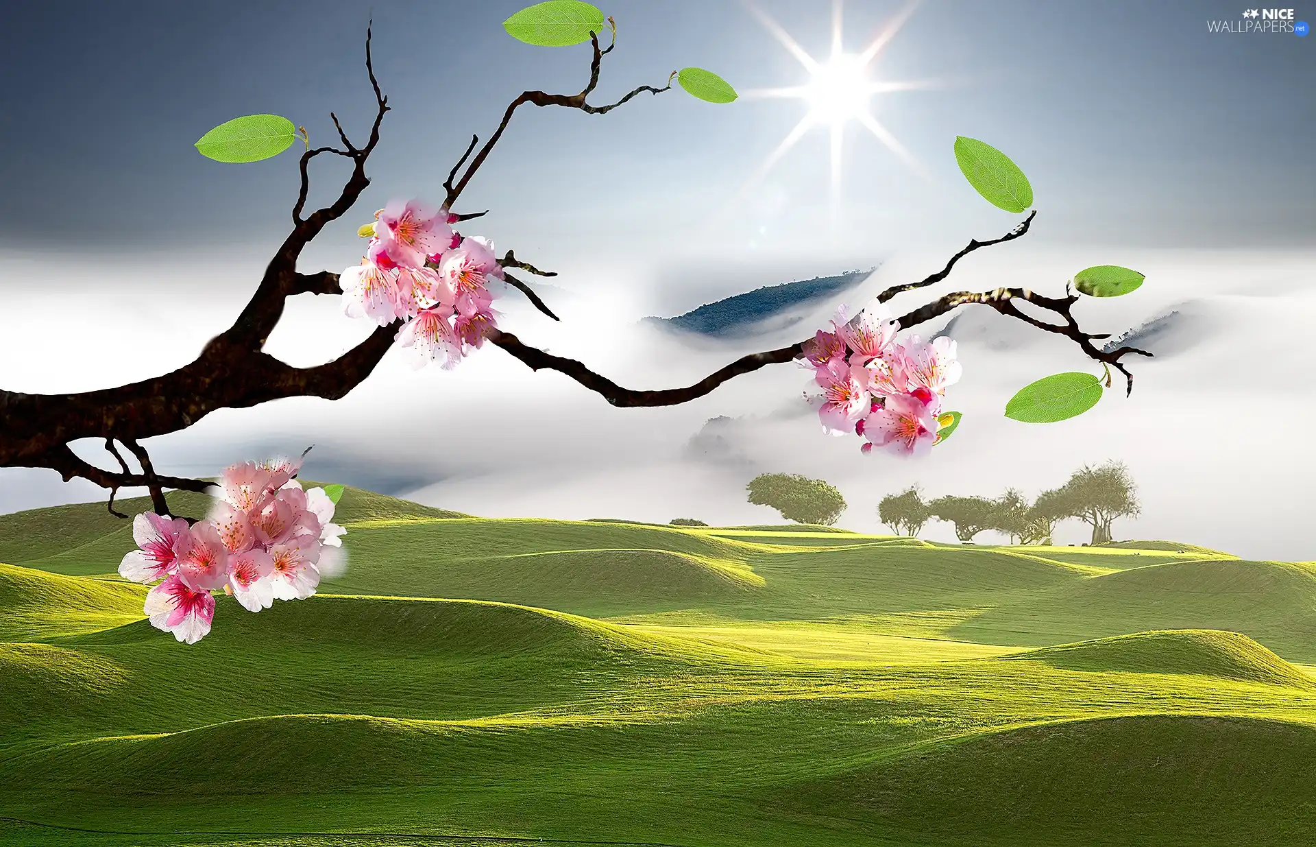 twig, Meadow, viewes, grass, graphics, trees, Flowers