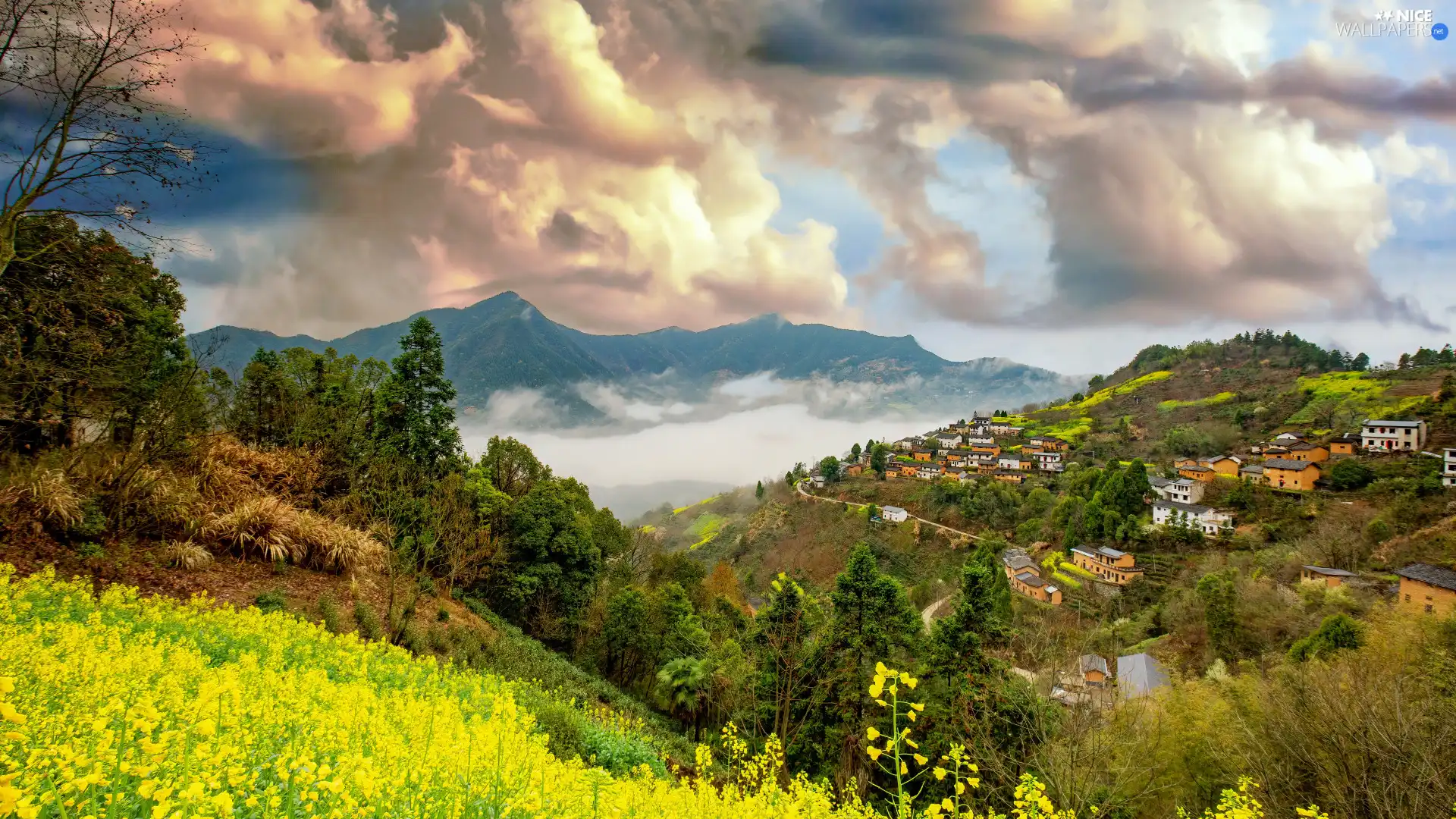 viewes, clouds, Fog, trees, forest, Mountains, Houses