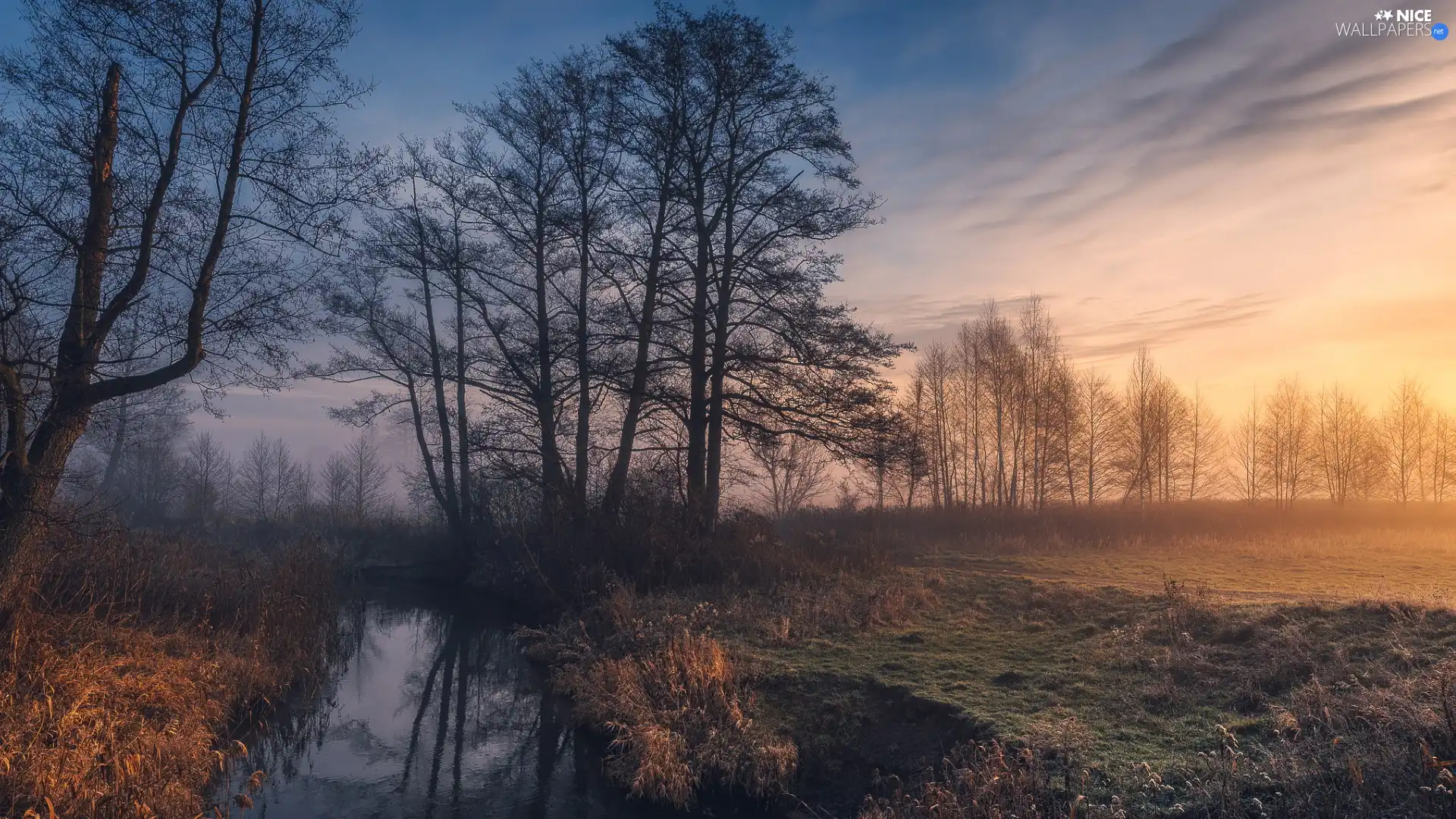 viewes, Meadow, Fog, trees, autumn, River, Sunrise