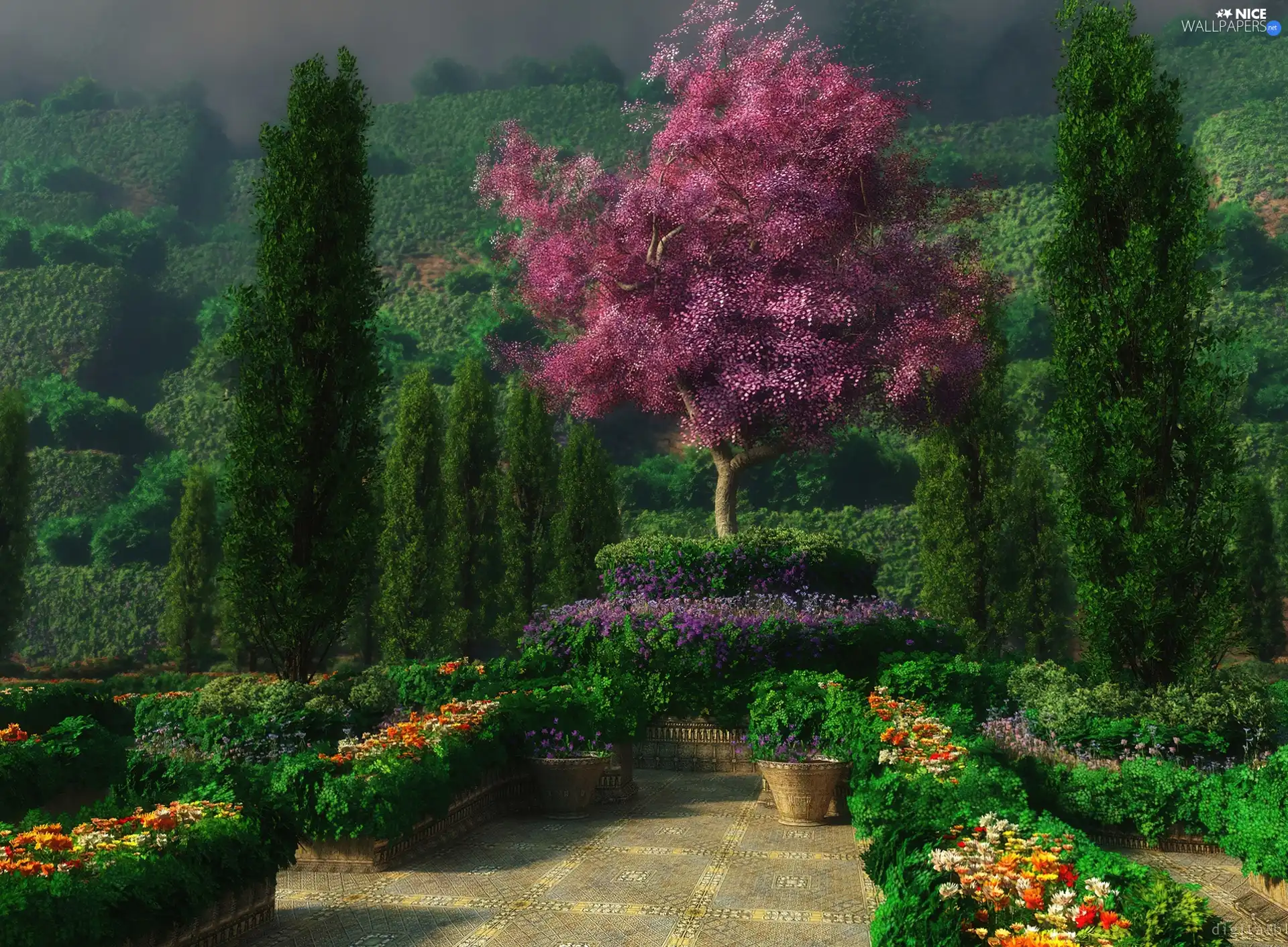 Garden, claret, trees, Flowers