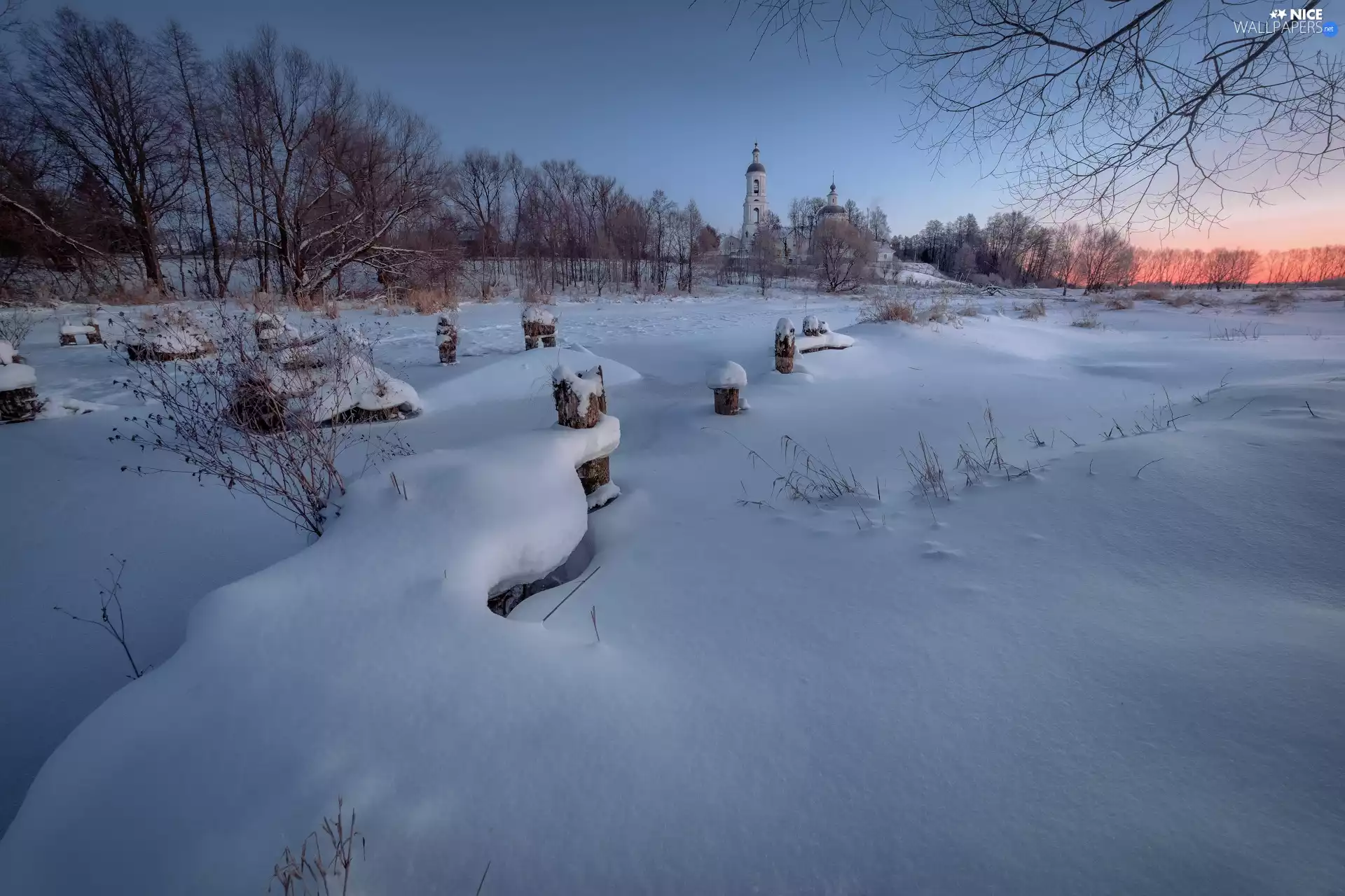viewes, snow, grass, trees, winter, Pins, Cerkiew