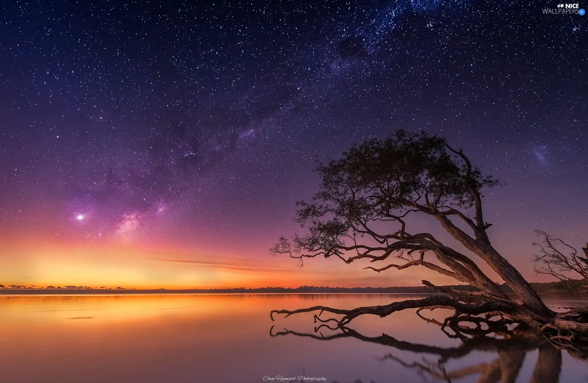 lake, star, trees, Great Sunsets