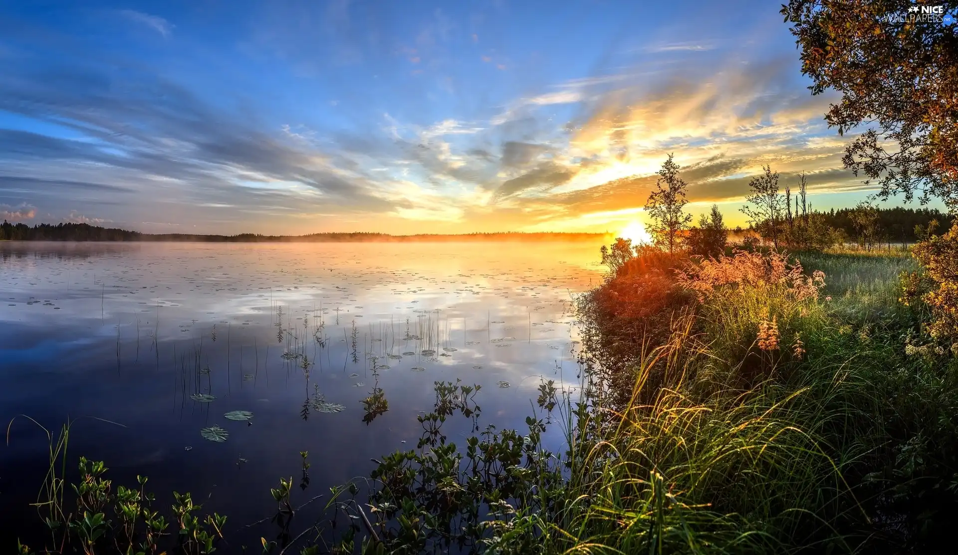 lake, Great Sunsets, trees