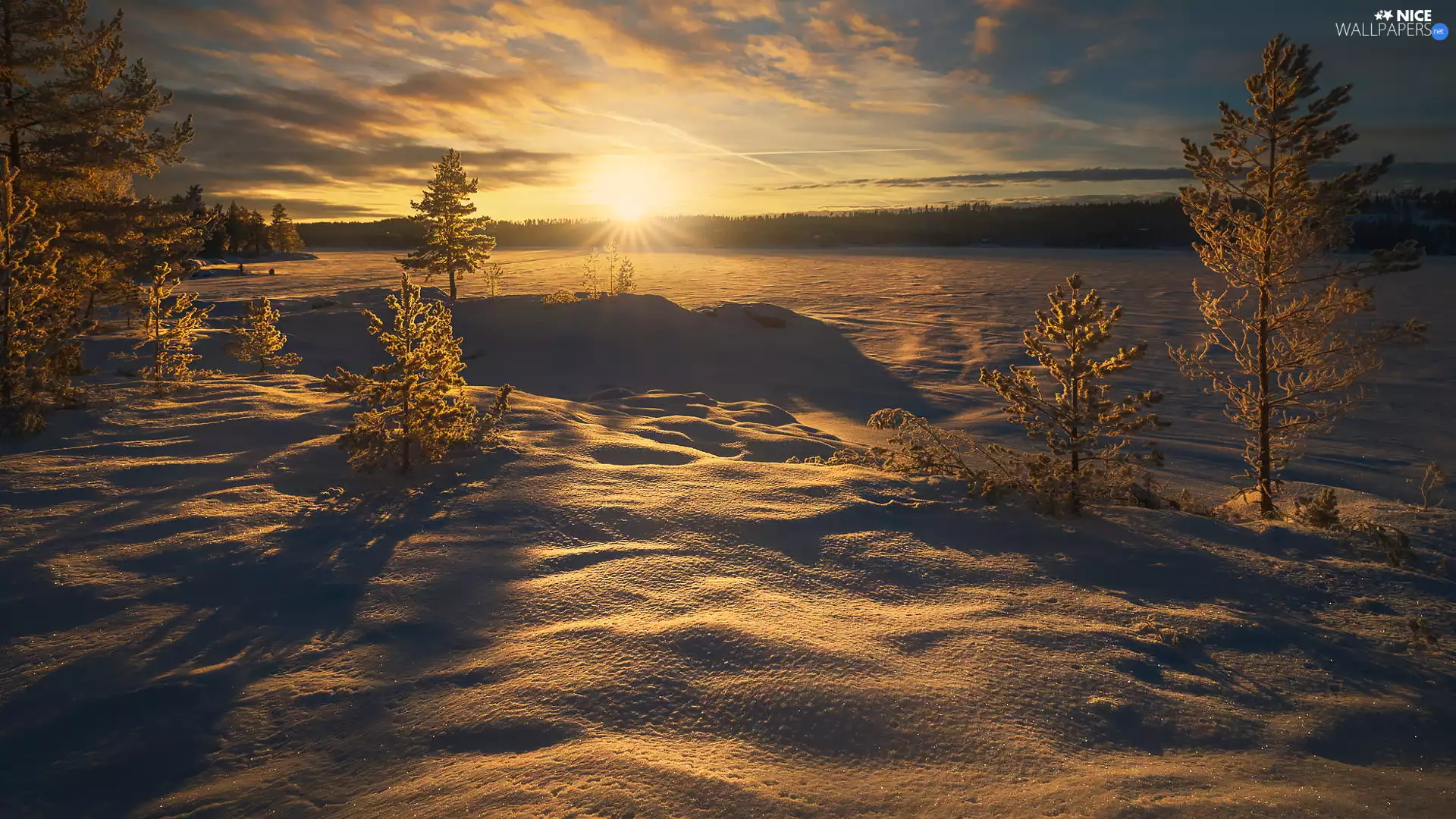 trees, viewes, Norway, snowy, Ringerike, winter, Great Sunsets, lake