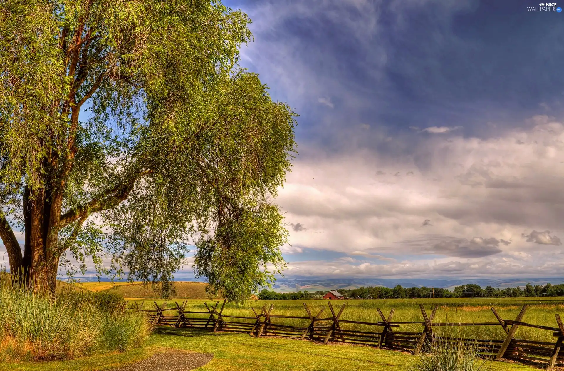 trees, HDR, field, fence, medows