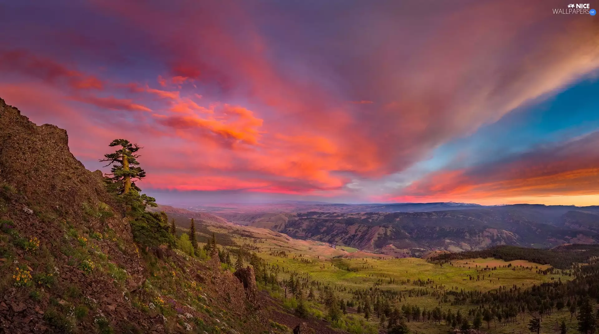 viewes, The Hills, Red, Sky, Great Sunsets, trees