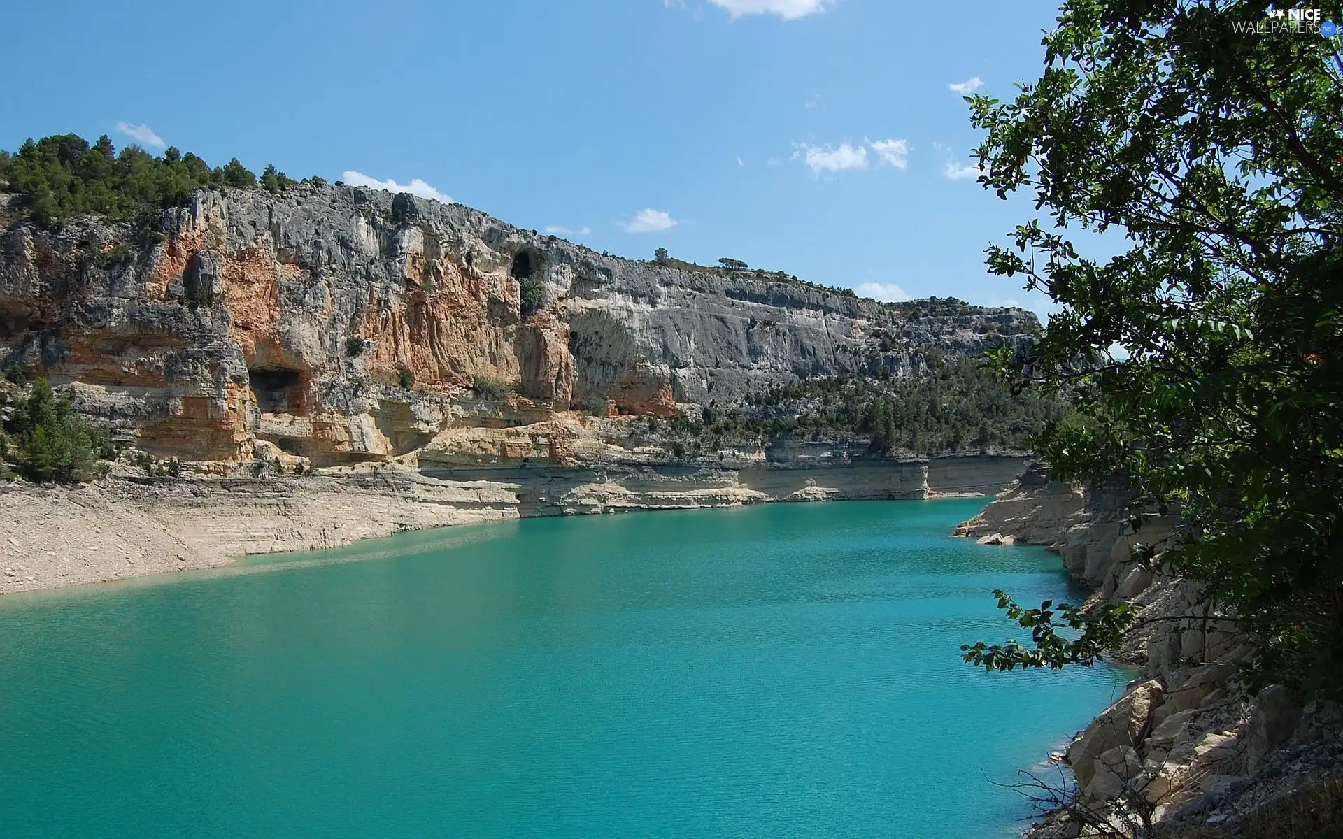 trees, rocks, lake