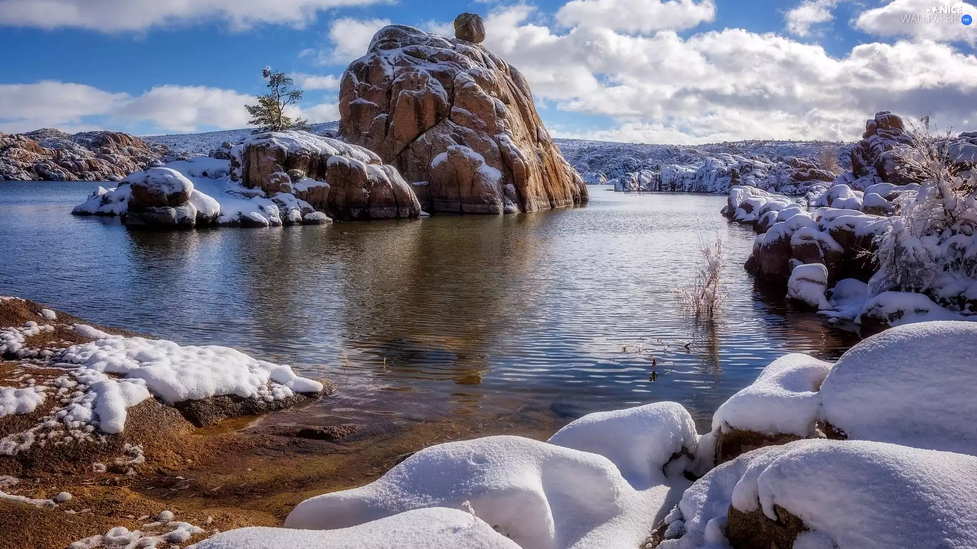 snow, trees, lake, rocks, winter