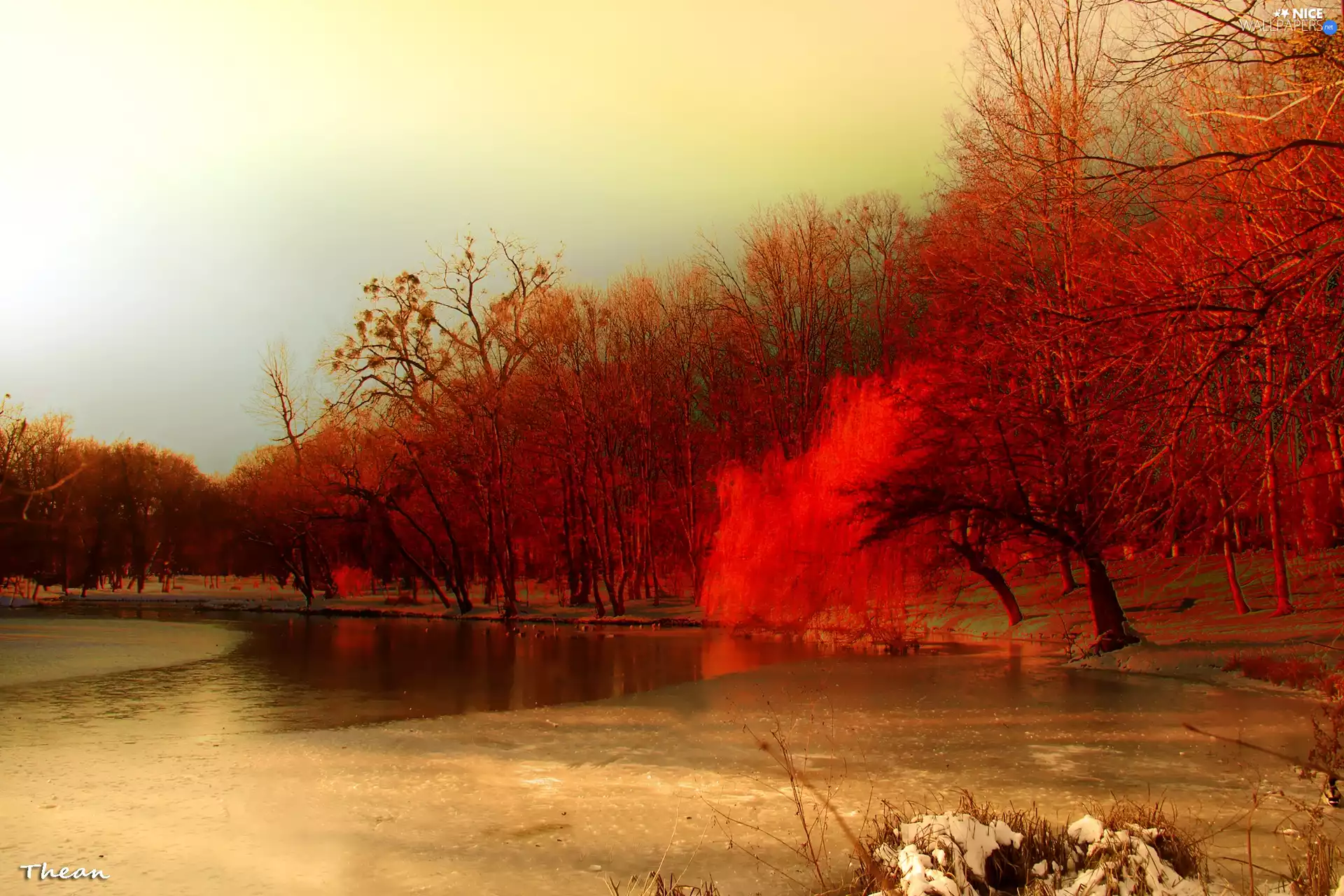 lake, viewes, winter, trees