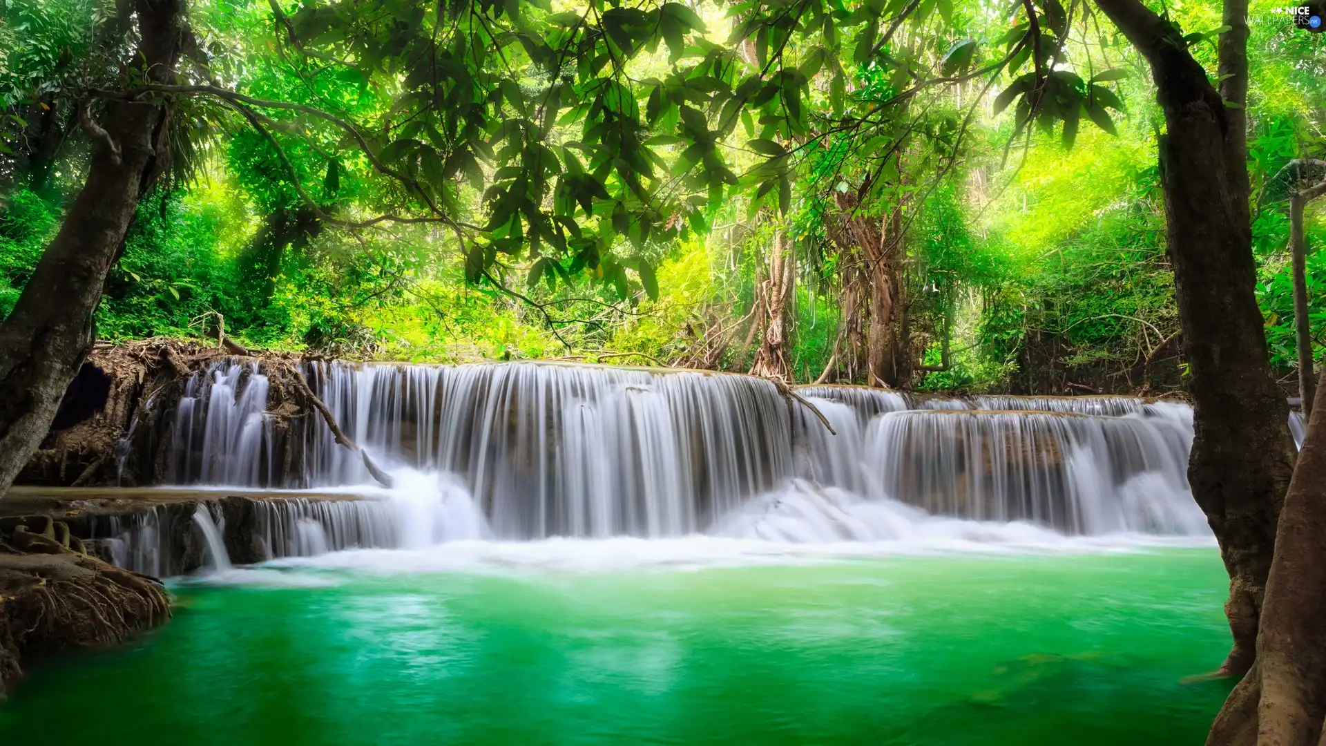 forest, waterfall, trees, viewes, flash, luminosity, ligh, sun, Przebijające