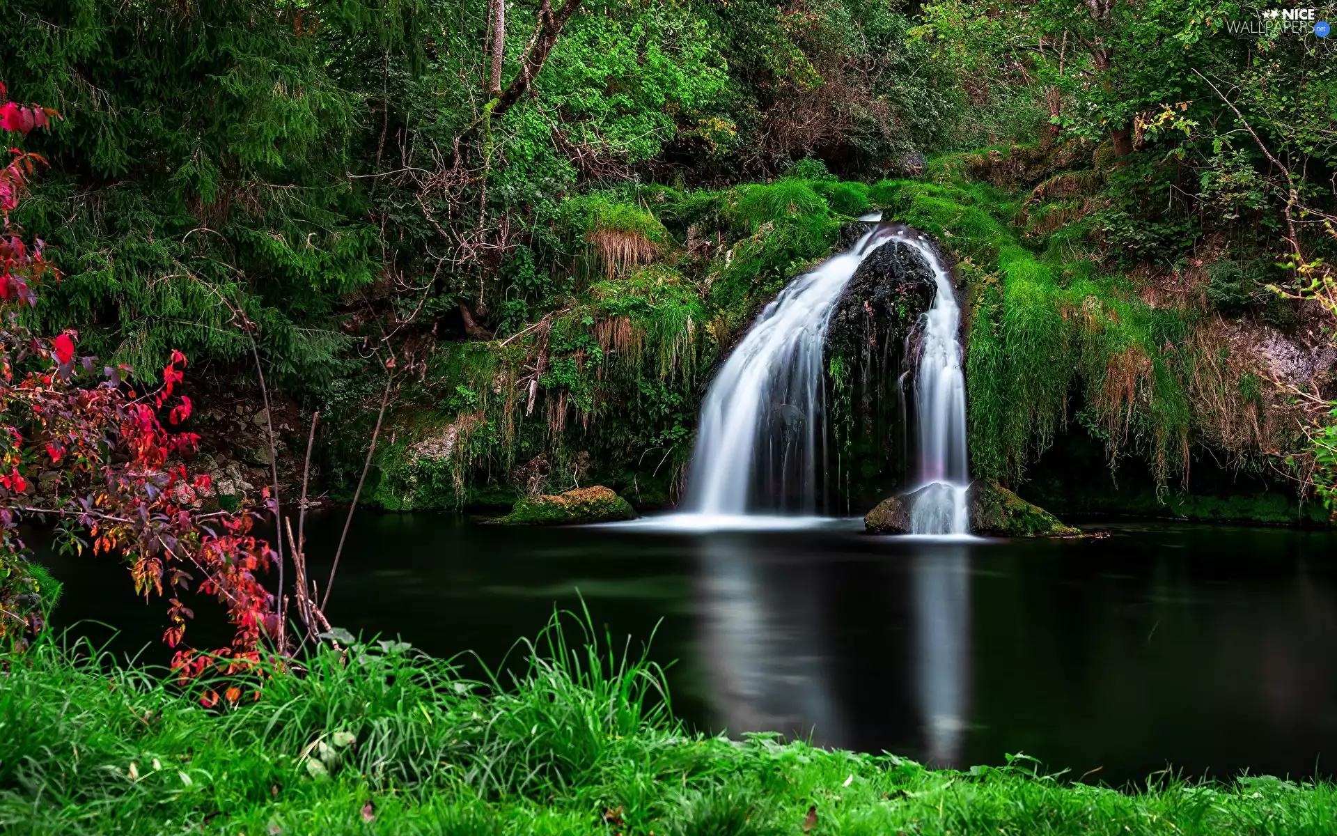 trees, forest, viewes, waterfall, autumn, VEGETATION, Moss, rocks, grass
