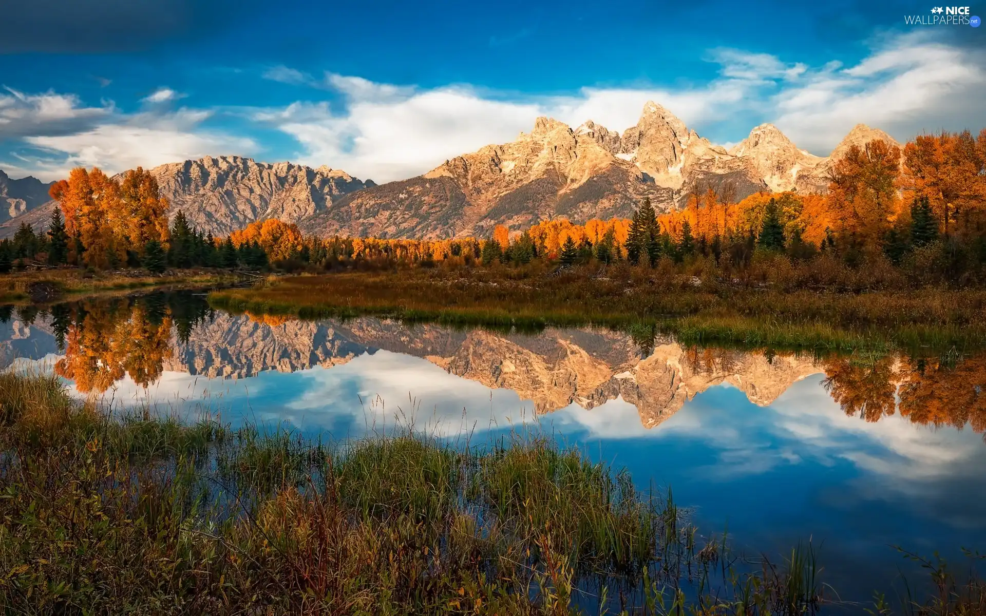 Grand Teton National Park, Mountains, VEGETATION, Snake River, viewes, State of Wyoming, The United States, trees