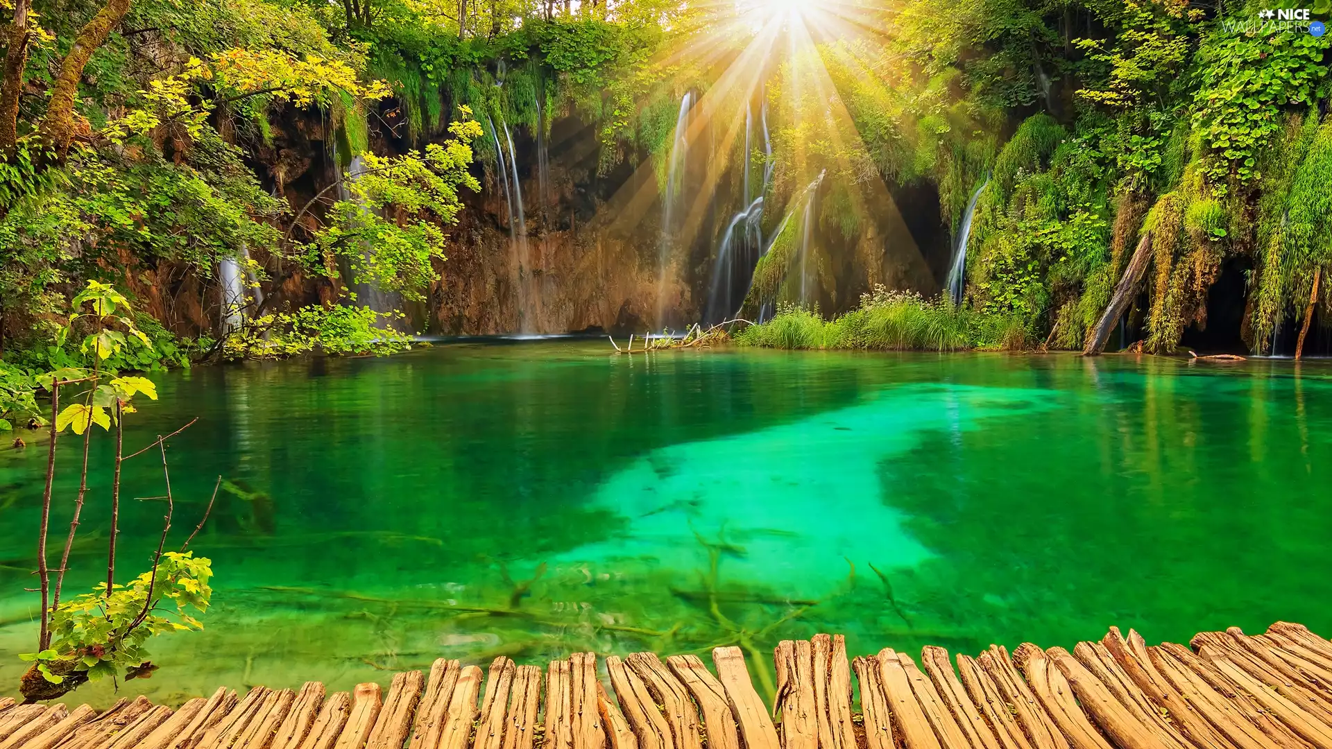 trees, lake, VEGETATION, waterfalls, Coartia, viewes, Plitvice Lakes National Park