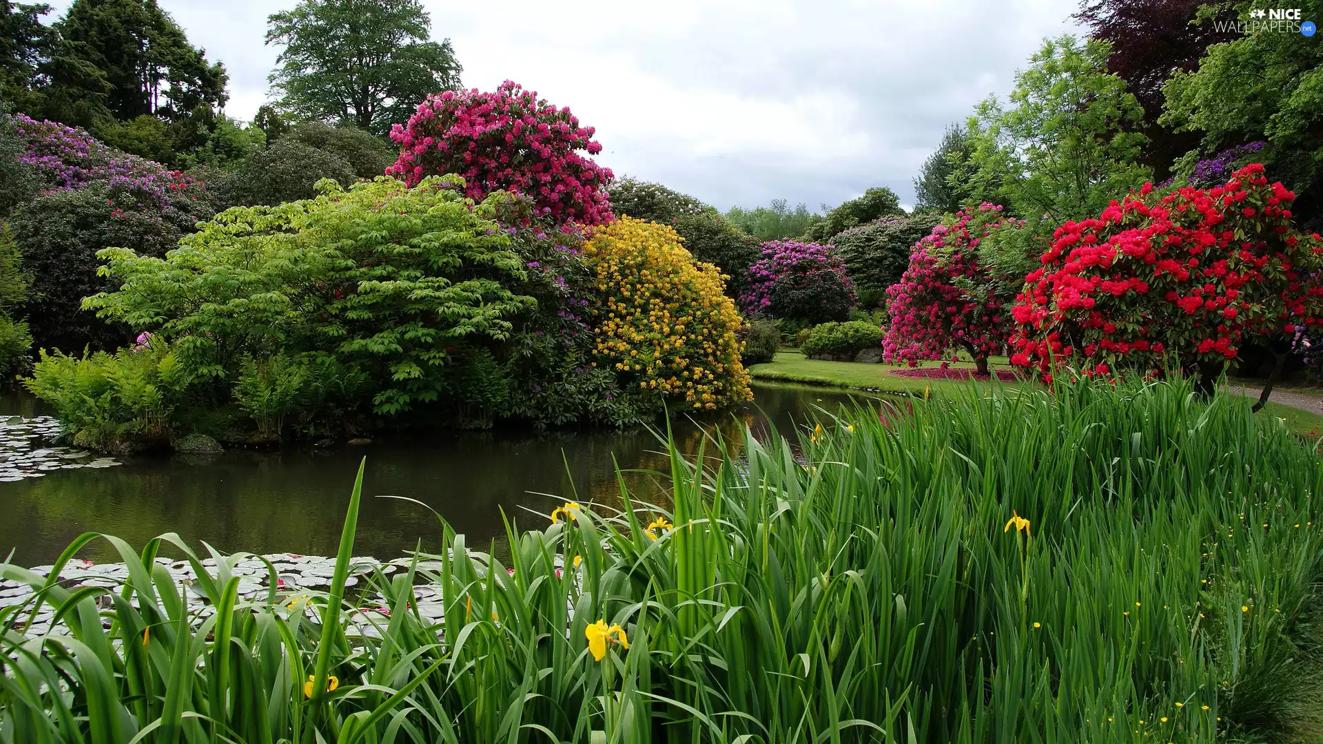 Biddulph, England, Park, Biddulph Grange Garden, Pond - car, Flowers, trees, viewes, Plants