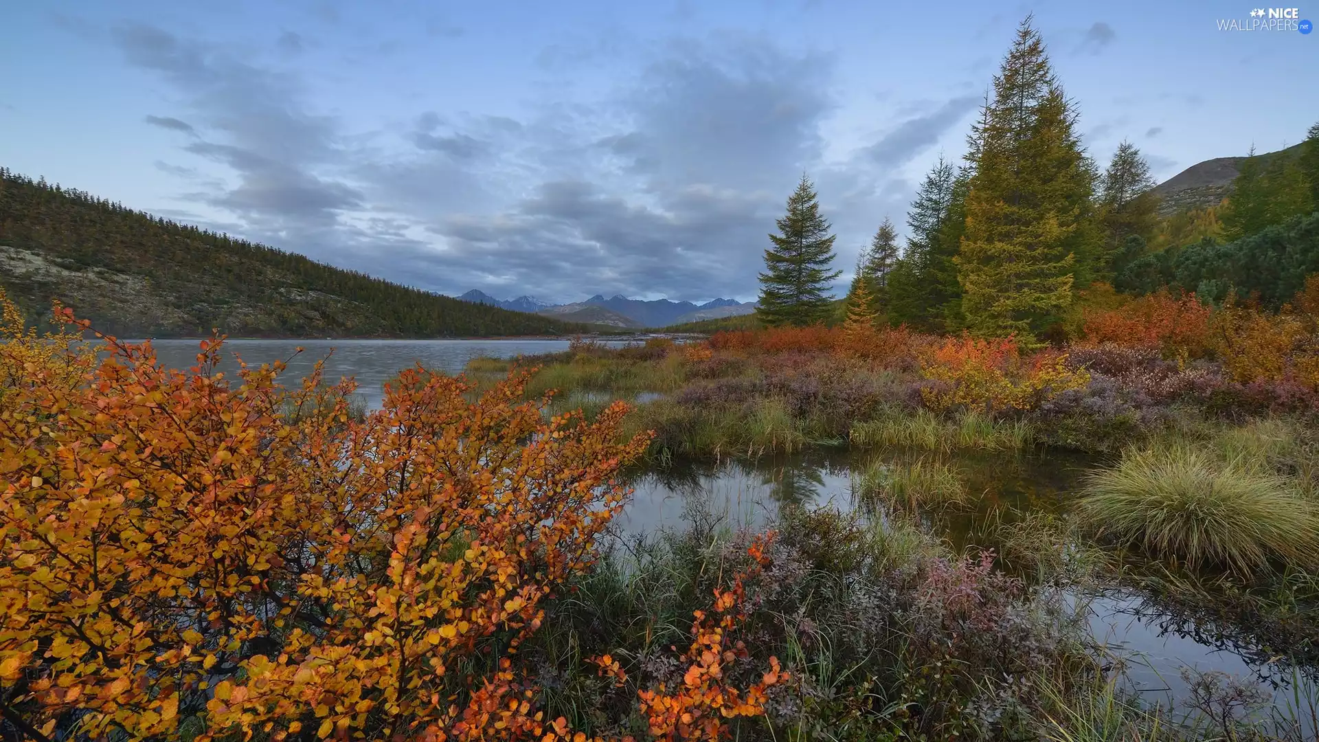 viewes, River, Plants, trees, Mountains, Bush, autumn