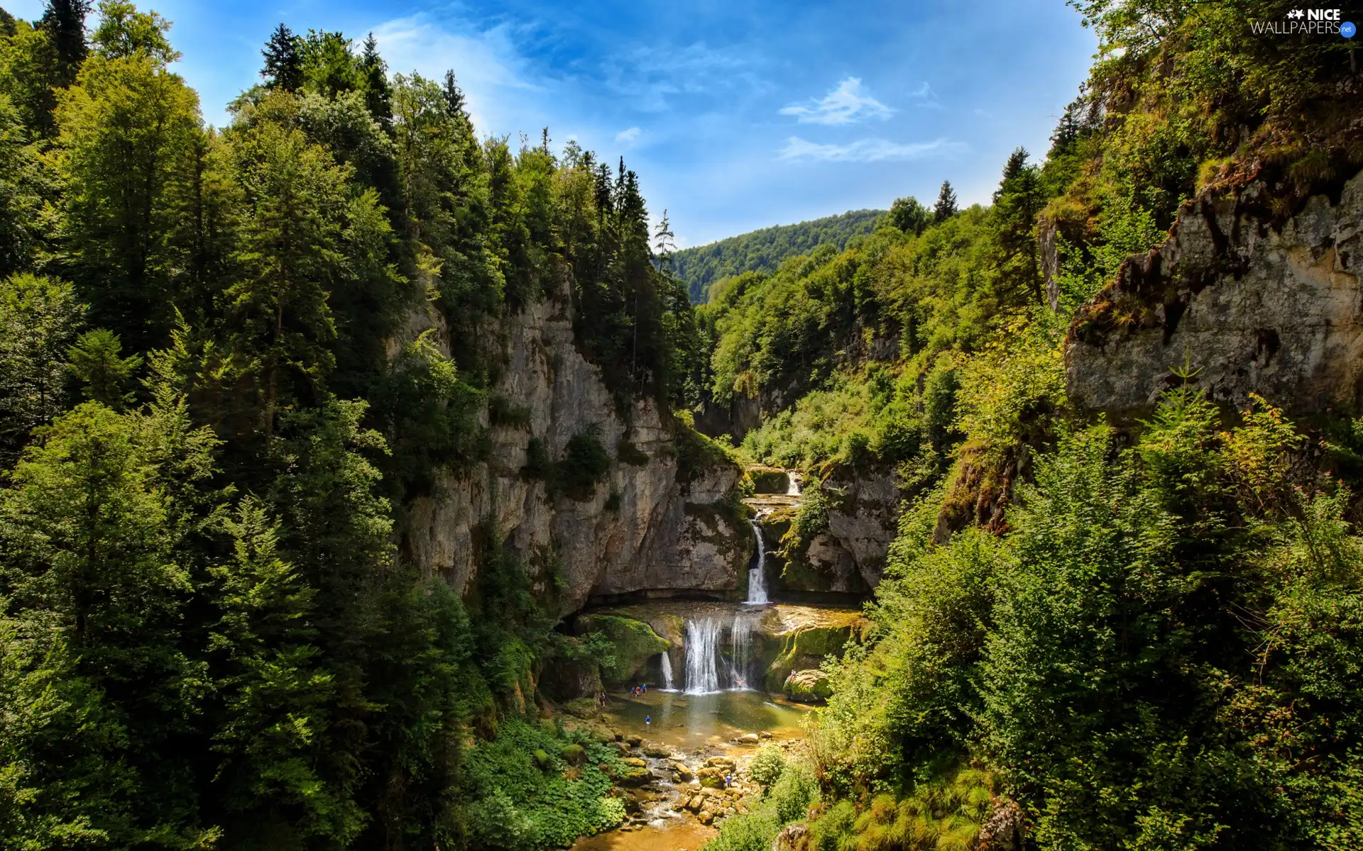 rocks, Stones, Plants, woods, viewes, River, waterfall, trees