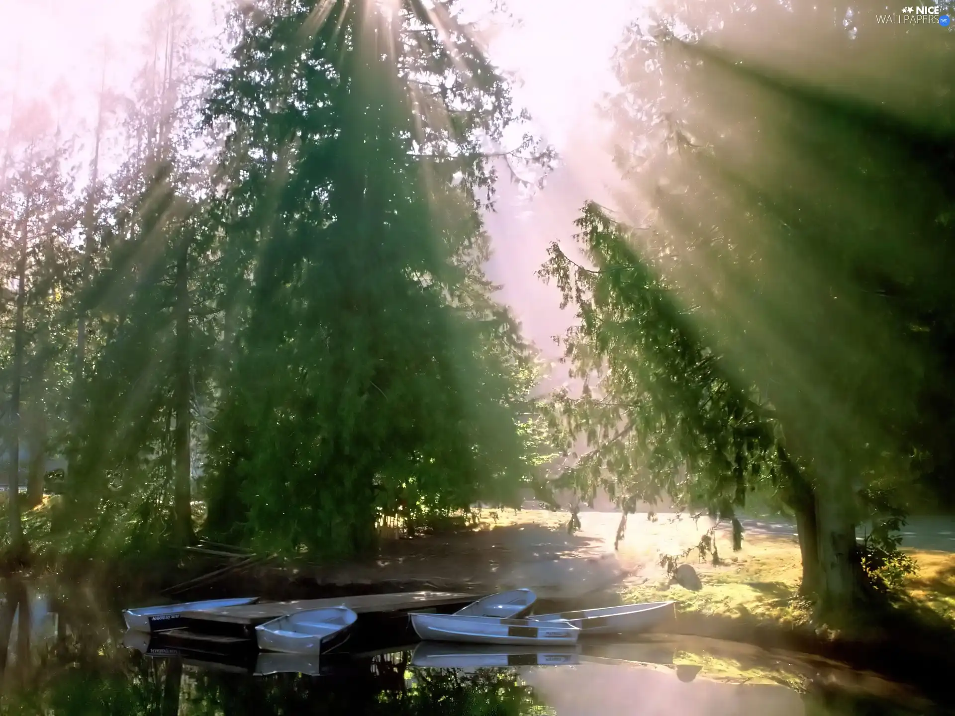 viewes, Pond - car, trees