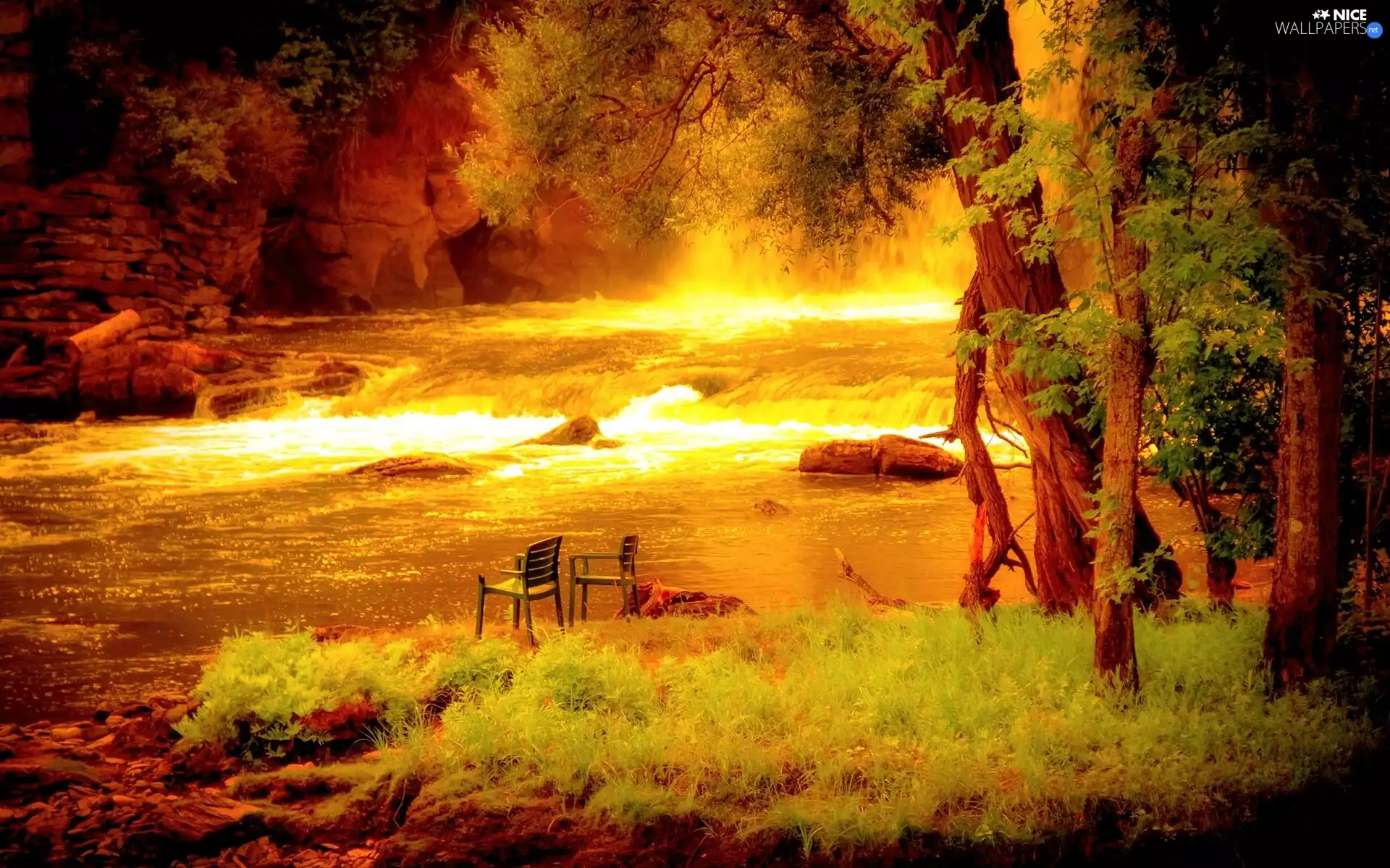 River, viewes, summer, trees