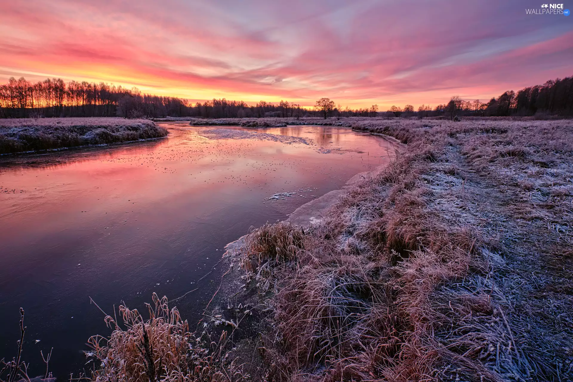 White frost, Sunrise, trees, viewes, River