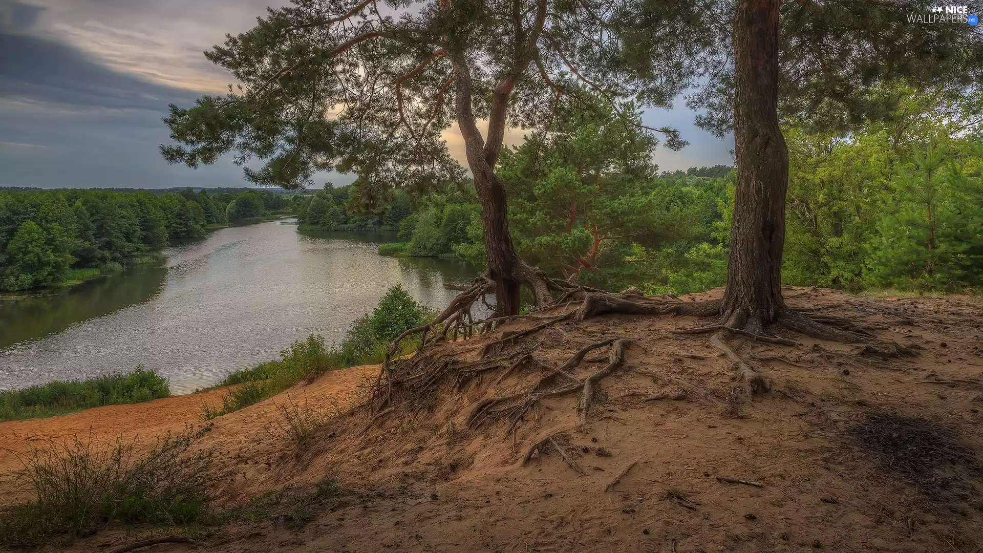 River, viewes, woods, trees