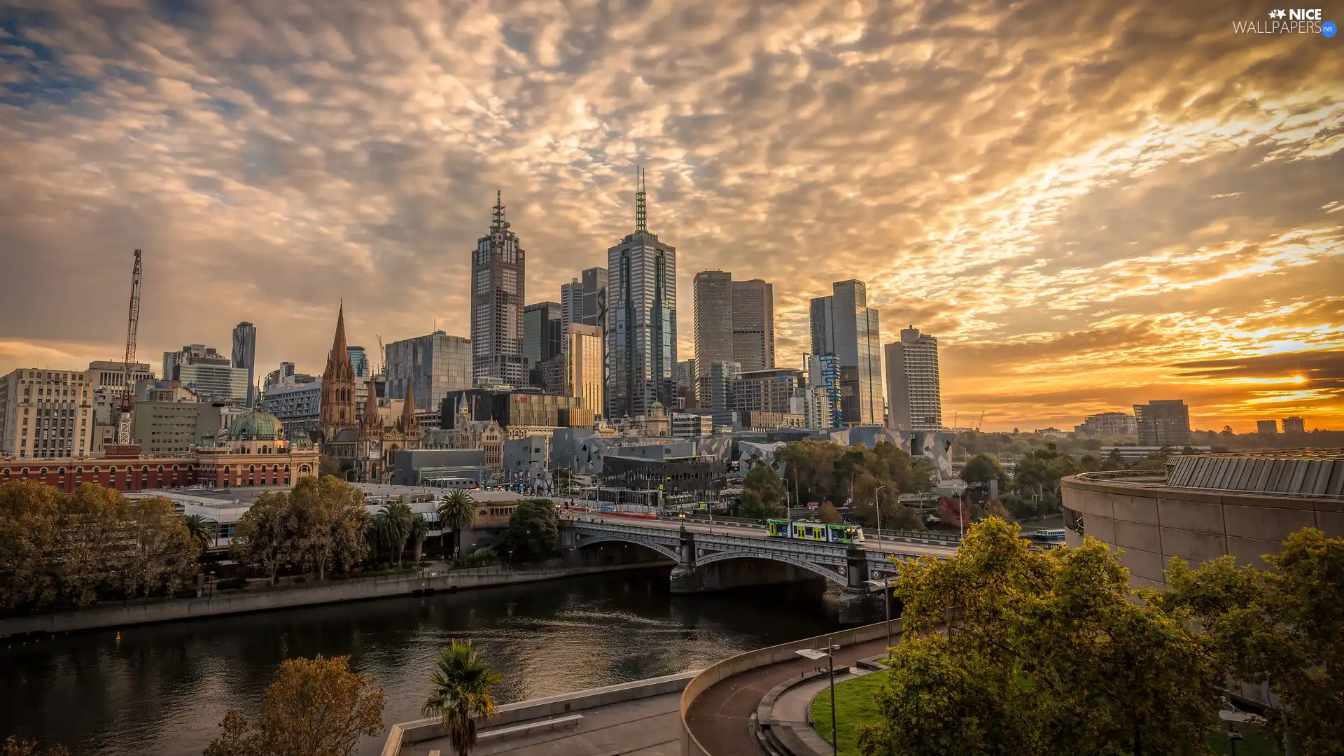 trees, viewes, Australia, skyscrapers, Melbourne, Yarra River, bridge, Town