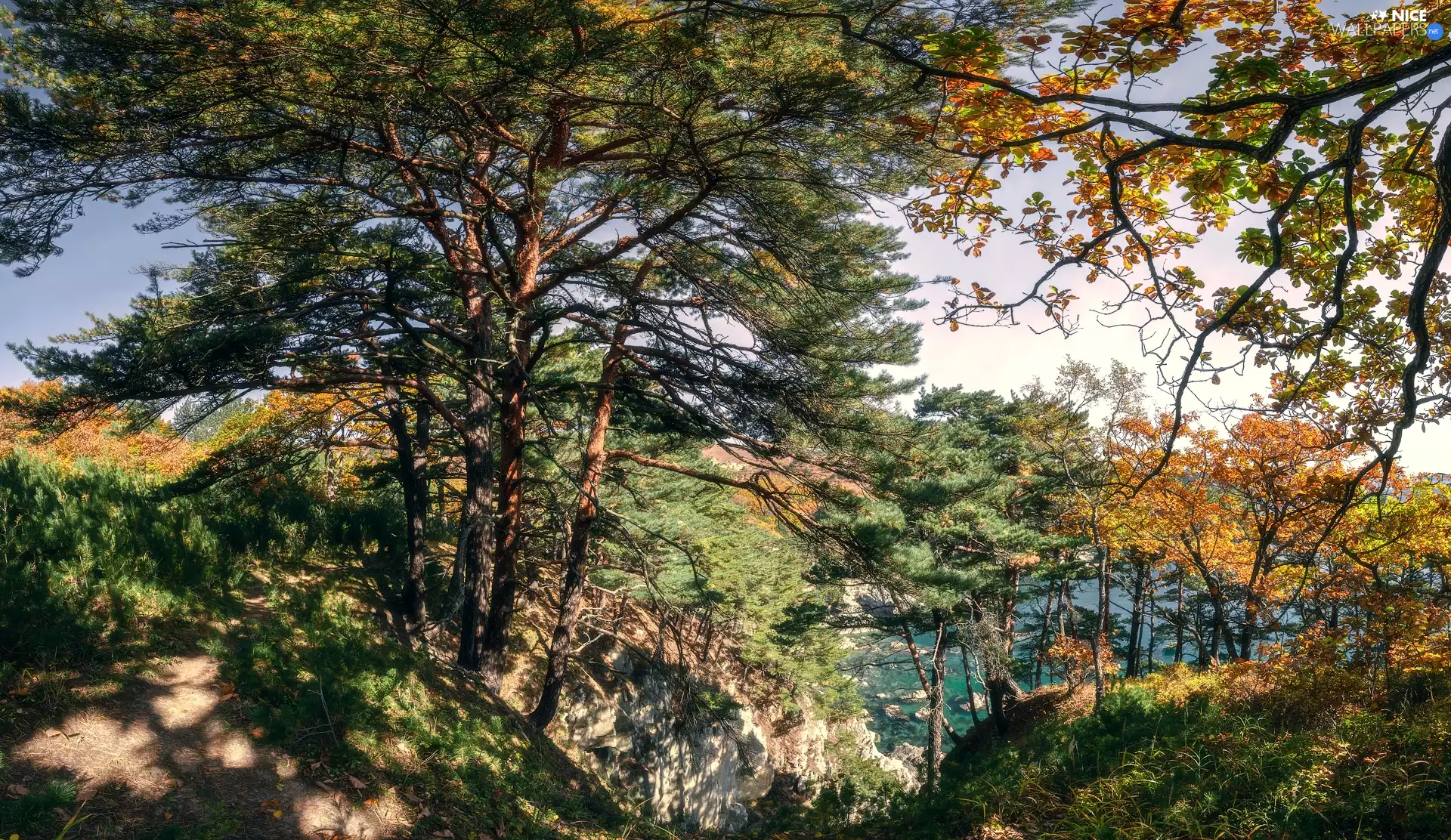 rocks, viewes, Hill, trees