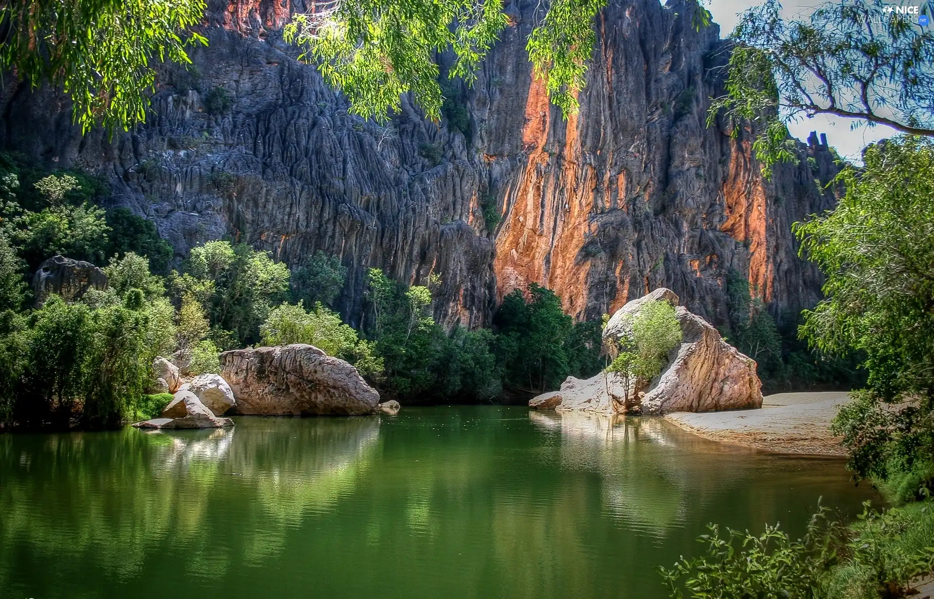 rocks, branch pics, trees, lake